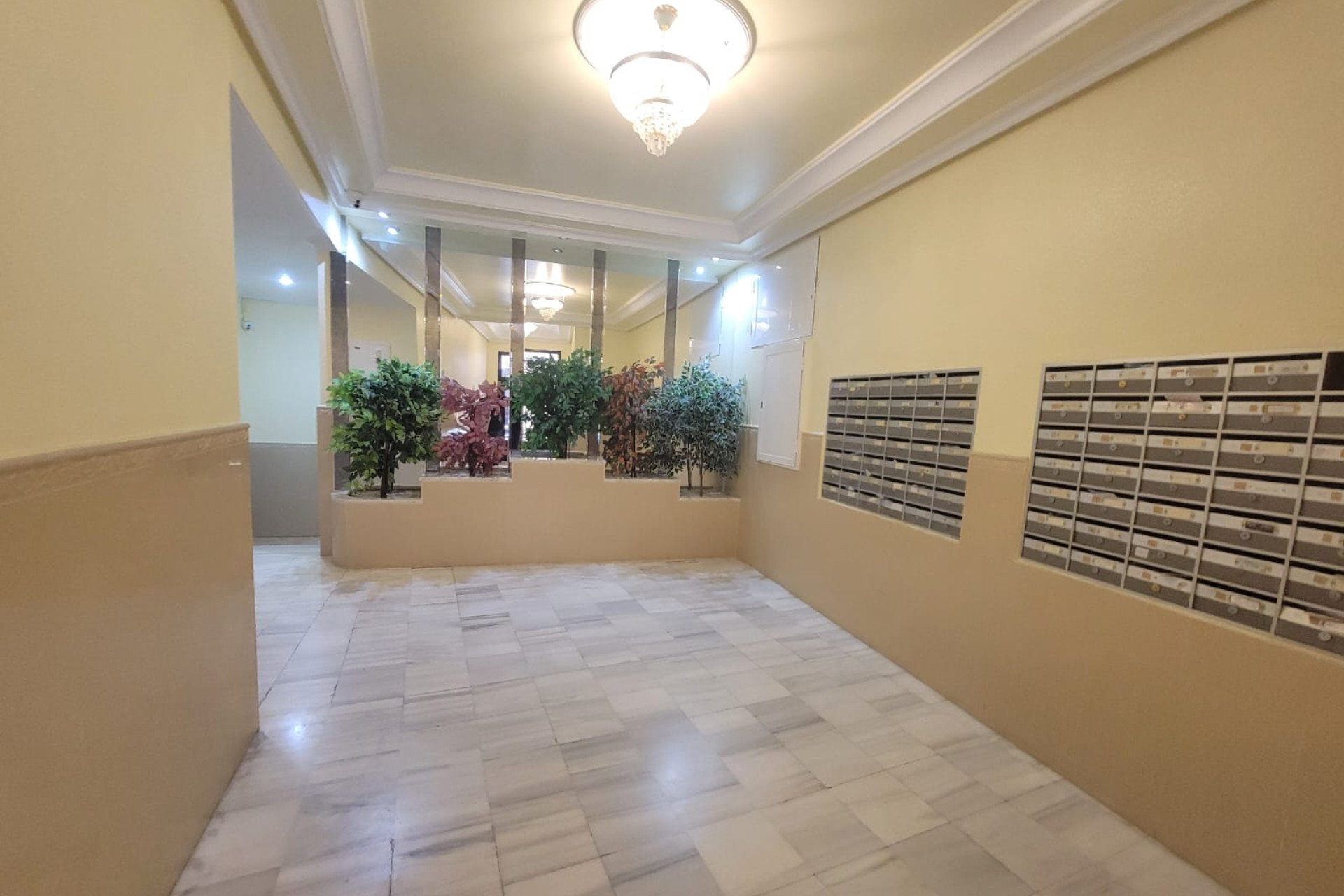 Reventa - Apartamento / piso - Torrevieja - Estacion de autobuses