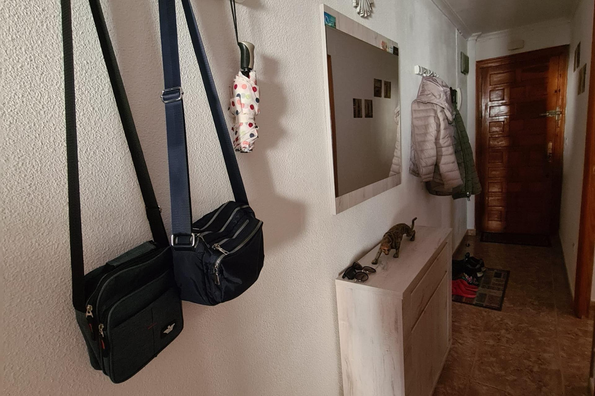 Reventa - Apartamento / piso - Torrevieja - Estacion de autobuses