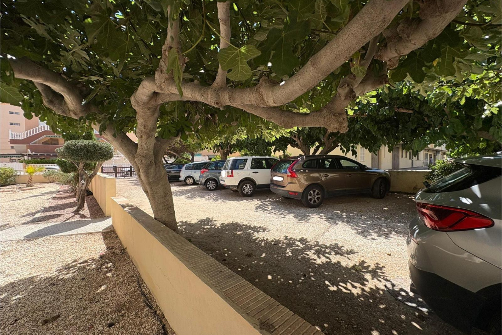 Reventa - Apartamento / piso - Torrevieja - La Mata