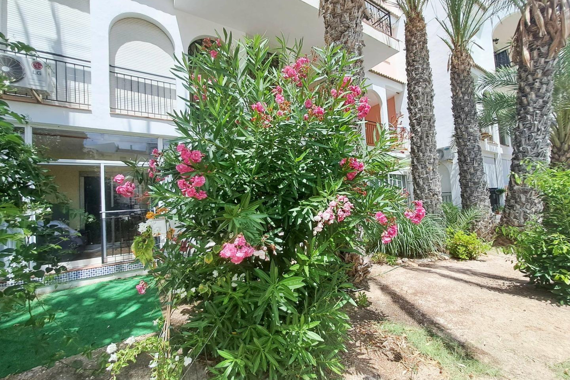 Reventa - Apartamento / piso - Torrevieja - La veleta