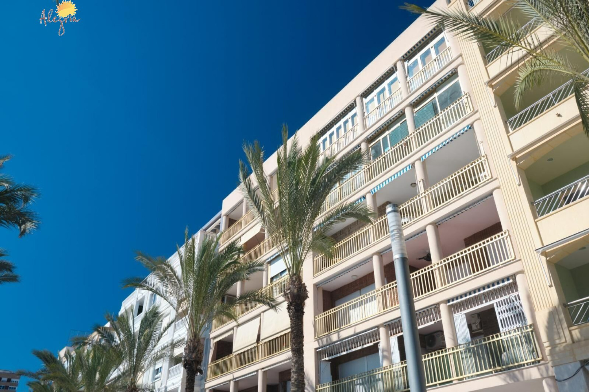 Reventa - Apartamento / piso - Torrevieja - Paseo maritimo