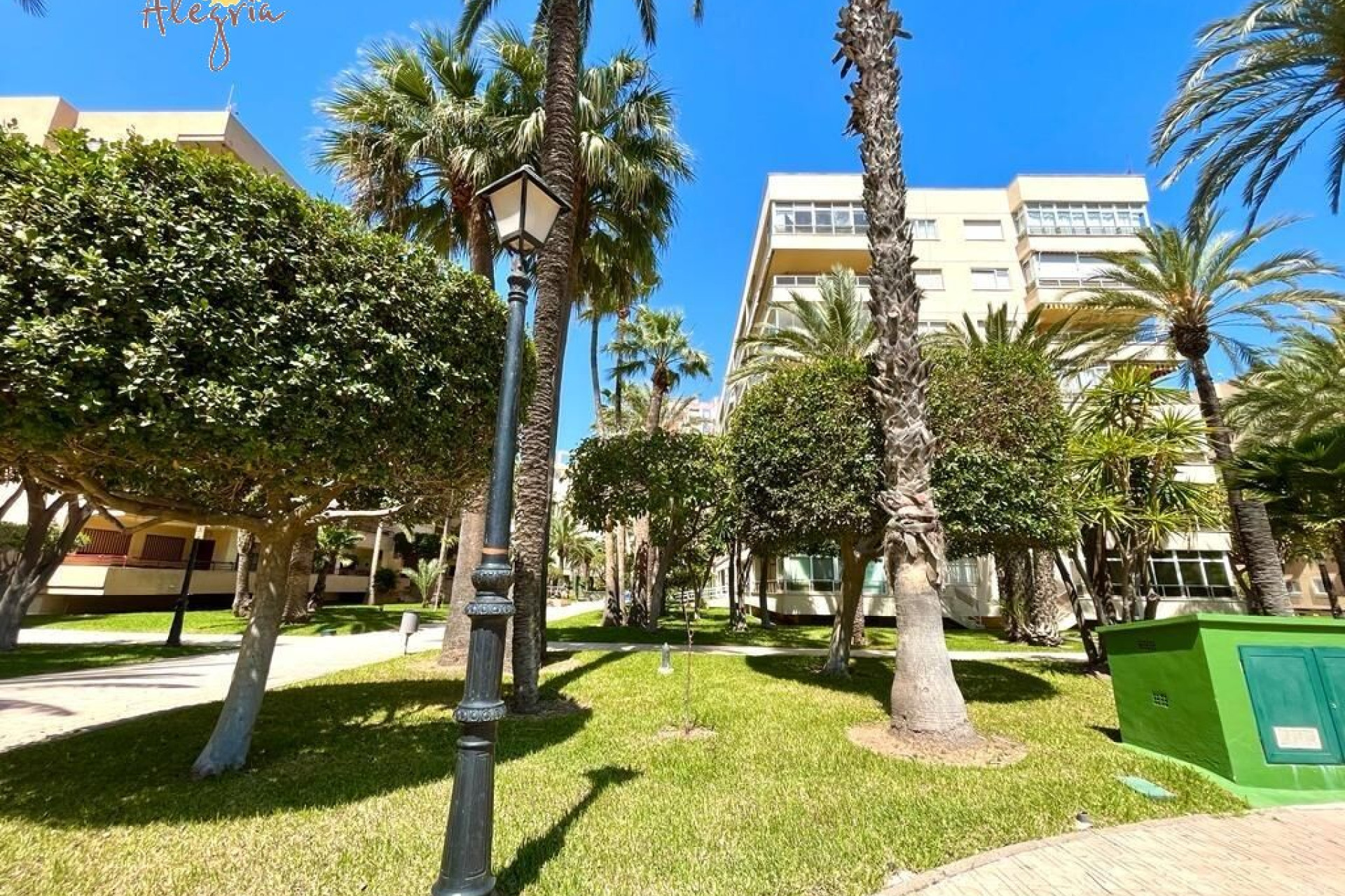 Reventa - Apartamento / piso - Torrevieja - Playa de los locos