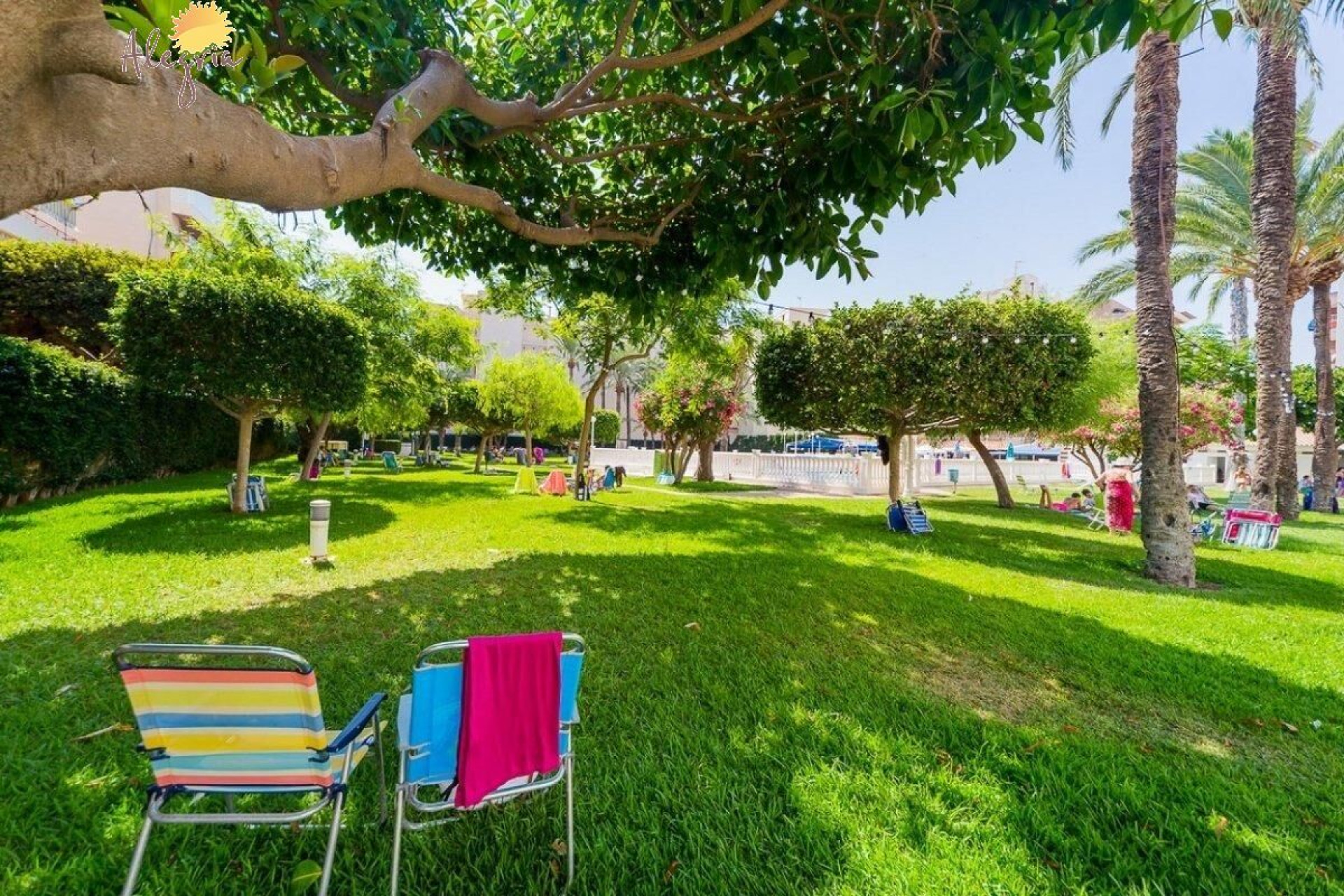 Reventa - Apartamento / piso - Torrevieja - Playa de los Locos