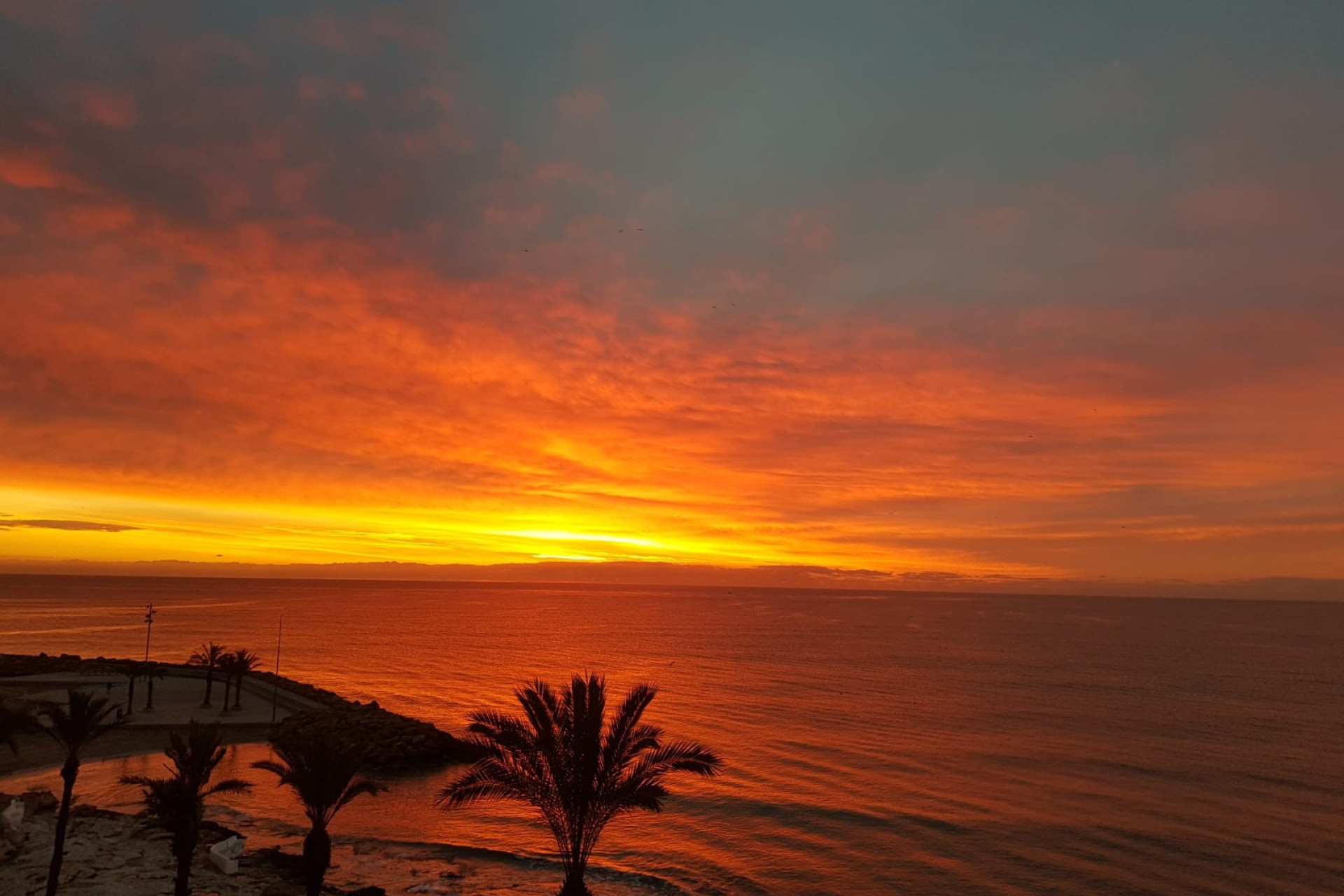 Reventa - Apartamento / piso - Torrevieja - Playa Del Cura