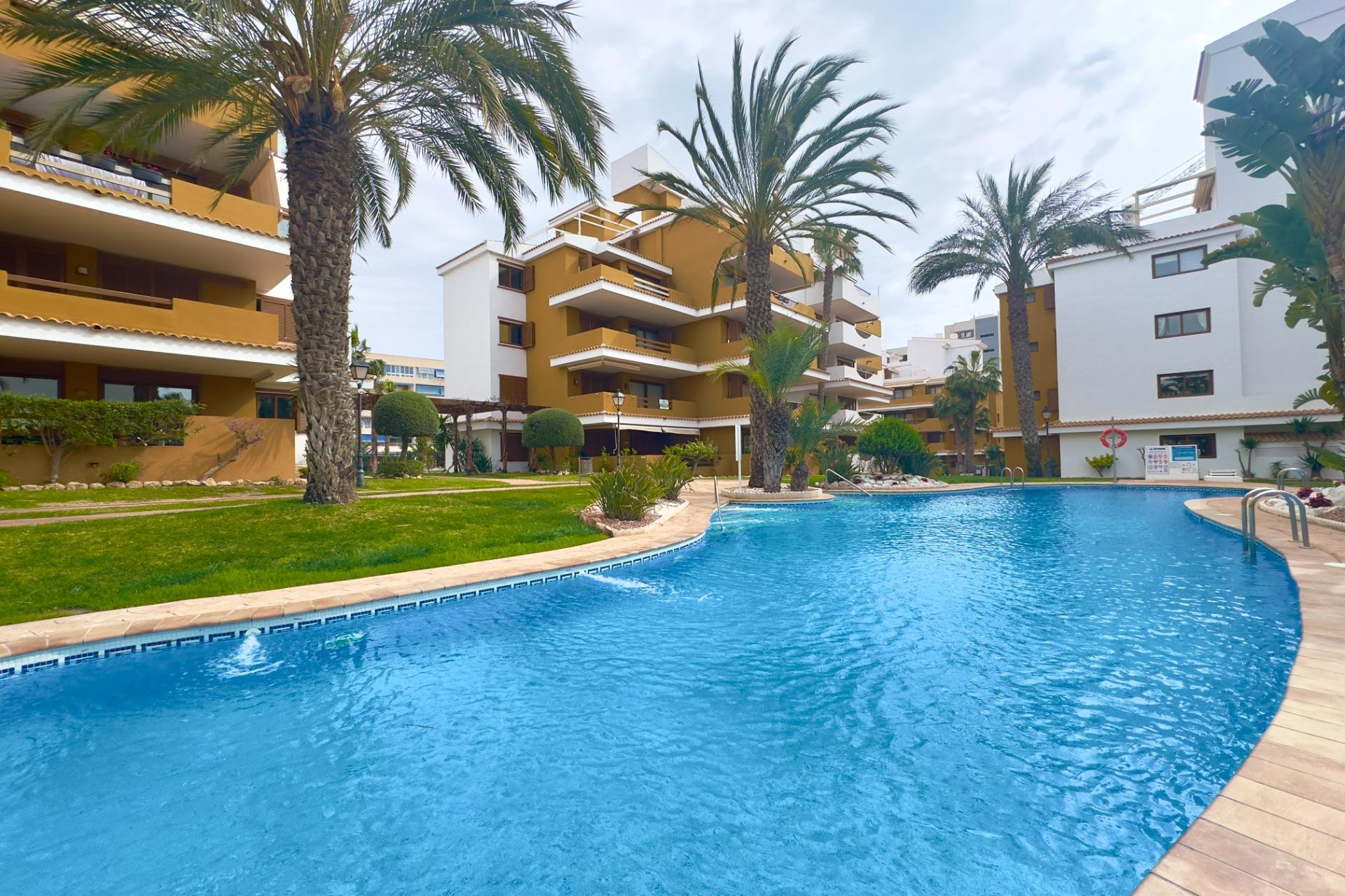 Reventa - Apartamento / piso - Torrevieja - Punta prima