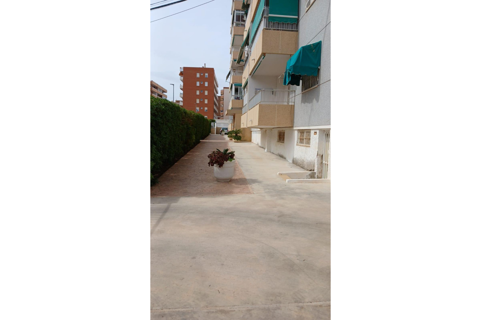 Reventa - Apartamento / piso - Torrevieja - Punta prima