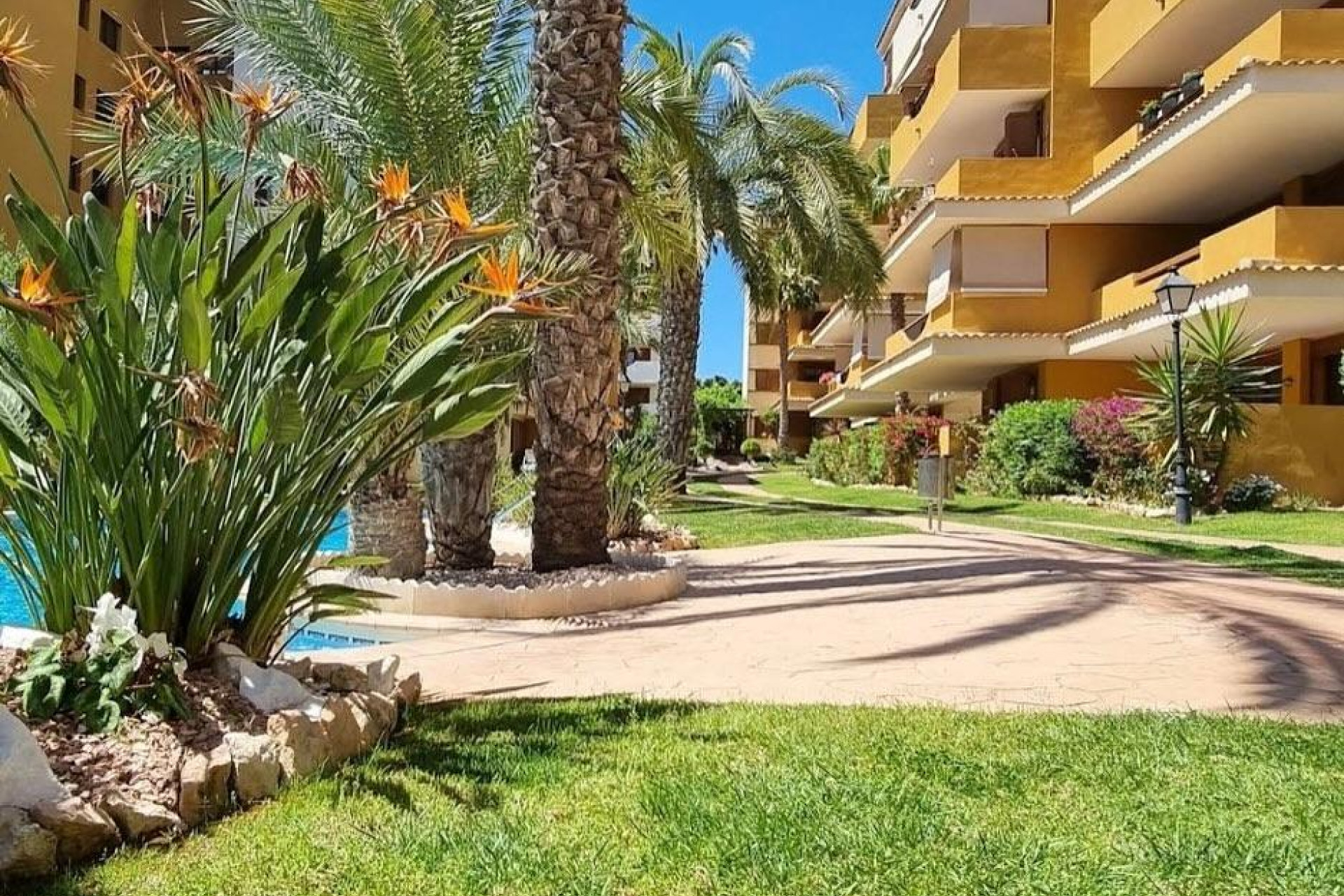 Reventa - Apartamento / piso - Torrevieja - Punta prima