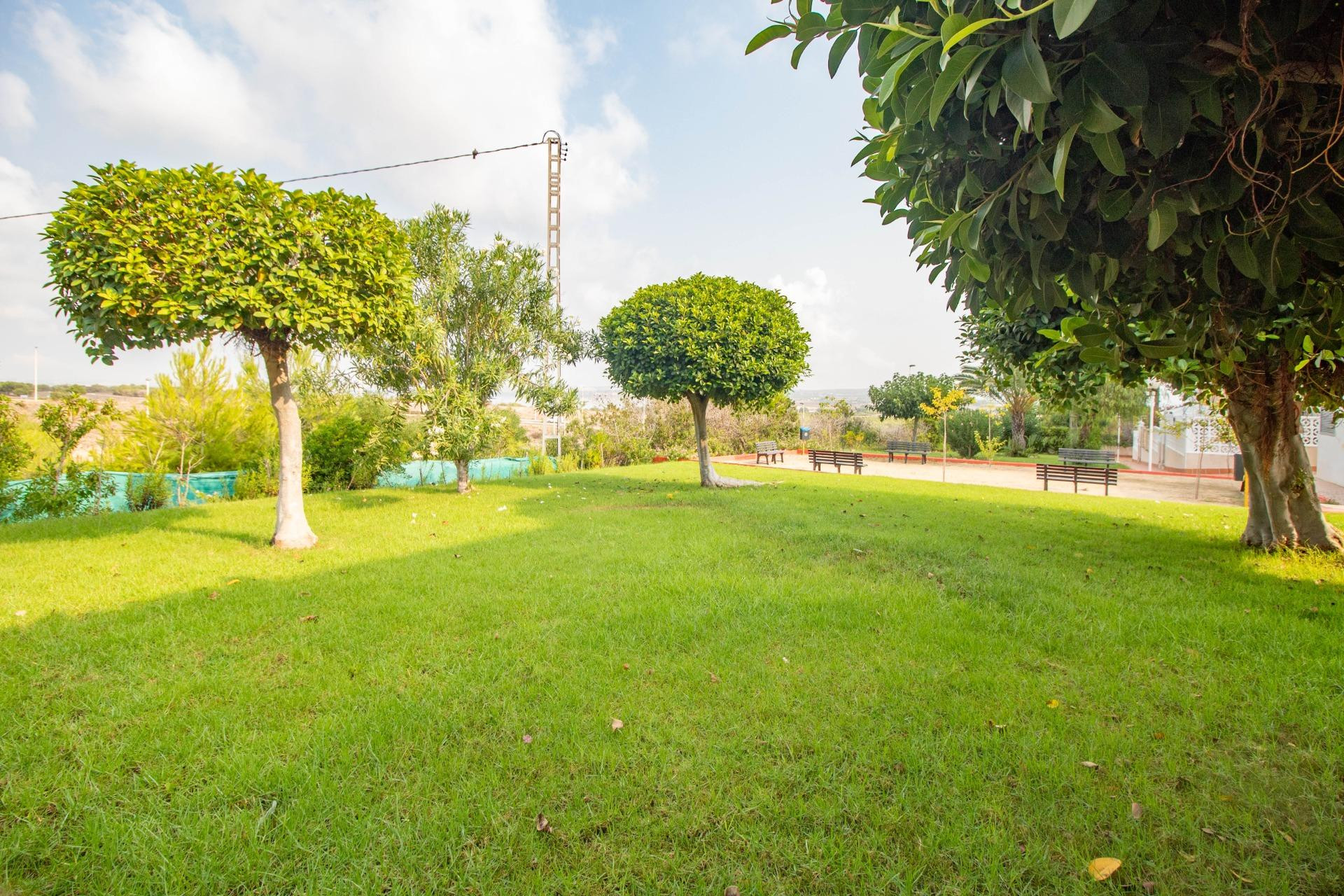 Reventa - Apartamento / piso - Torrevieja - Torreblanca