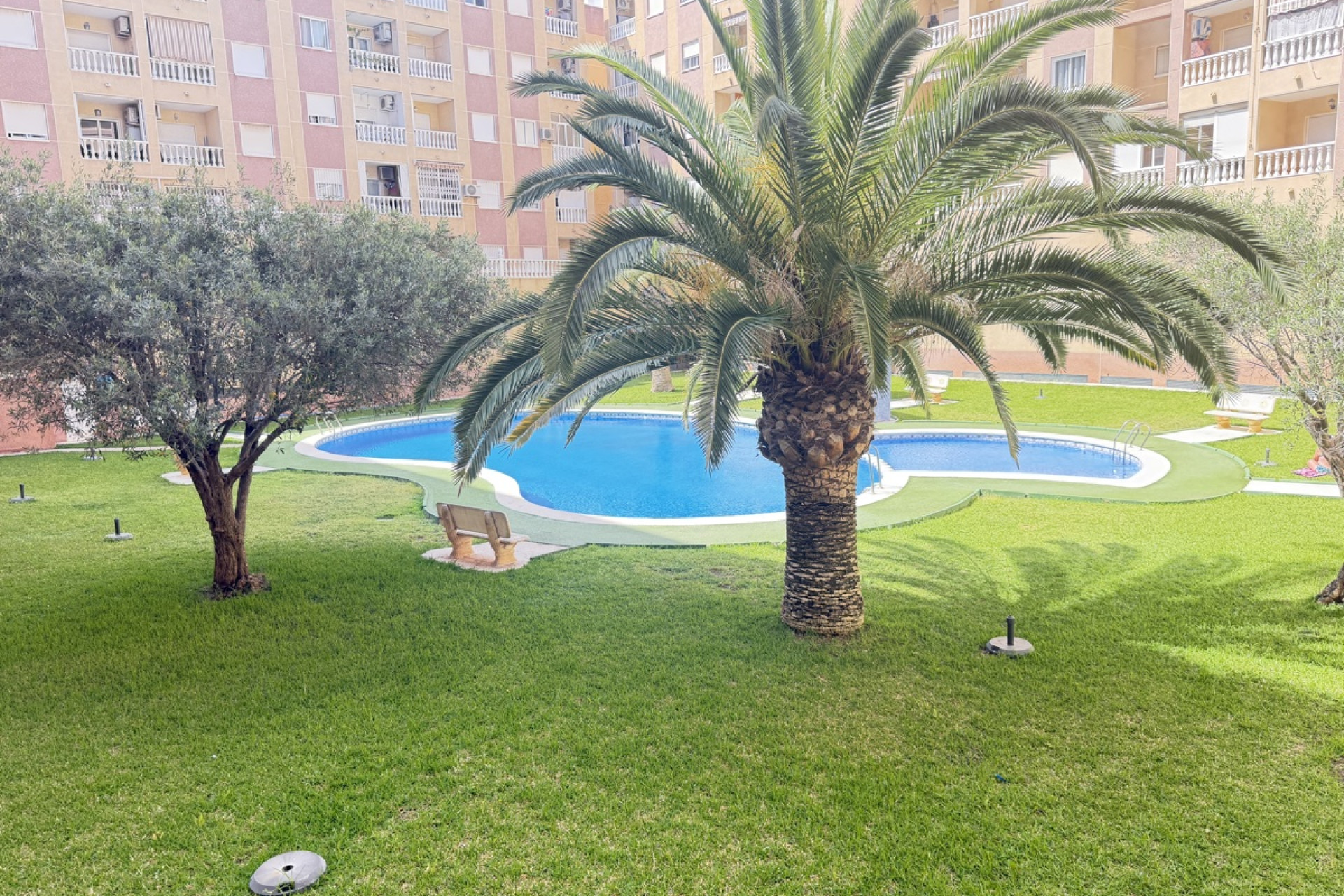 Reventa - Apartamento / piso - Torrevieja - Torrevieja - Centre