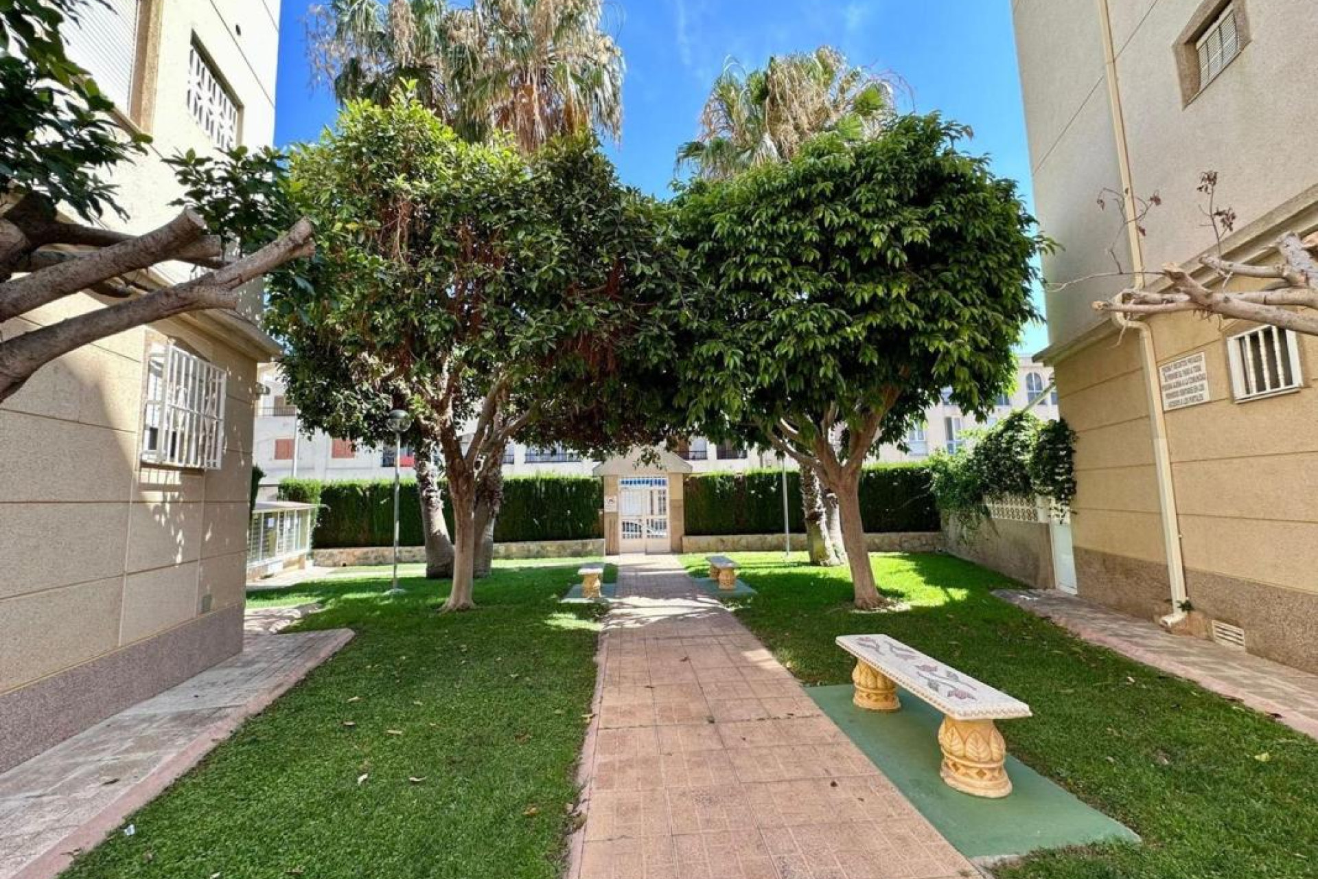 Reventa - Apartamento / piso - Torrevieja - torrevieja