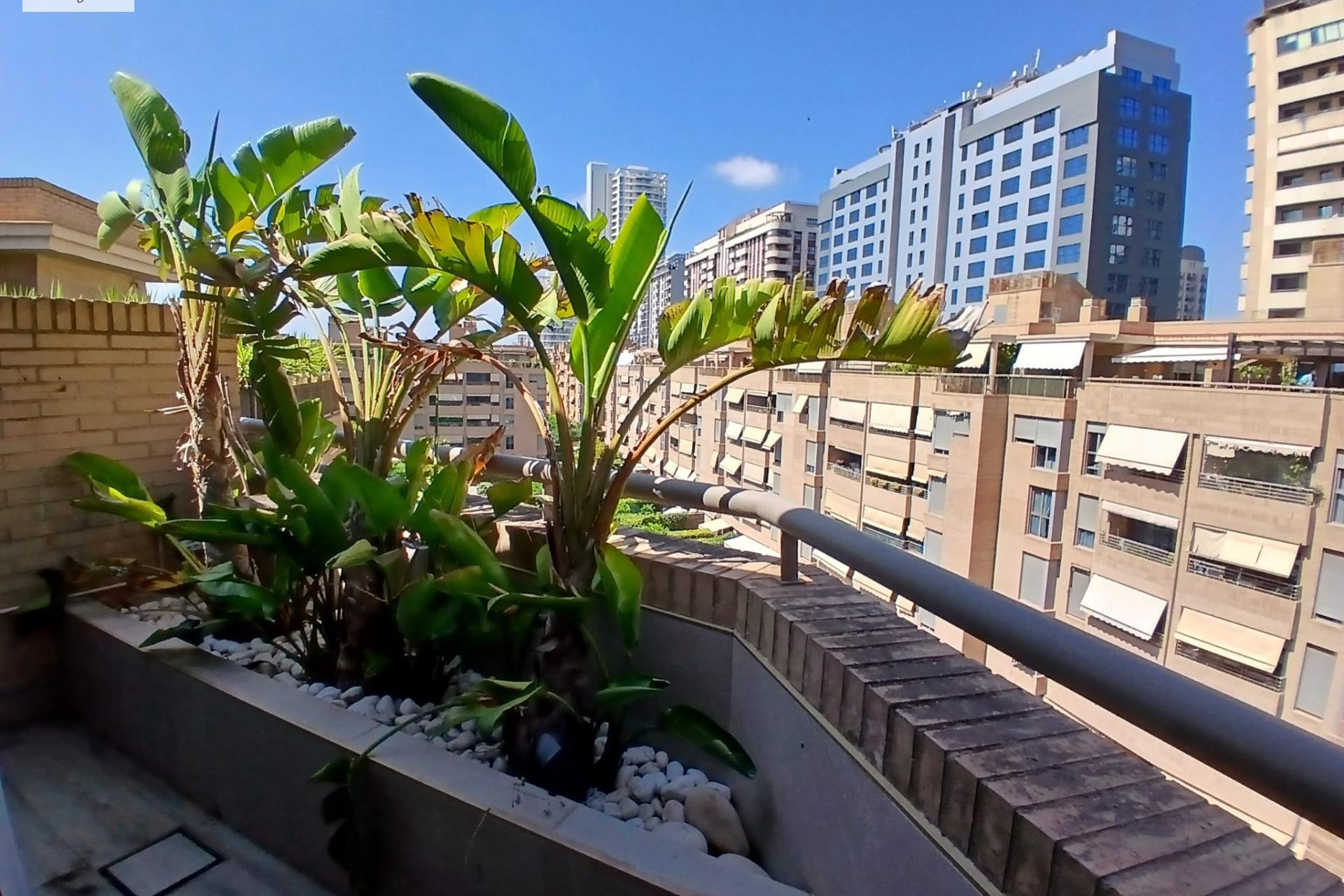 Reventa - Apartamento / piso - Valencia - Comunidad valenciana