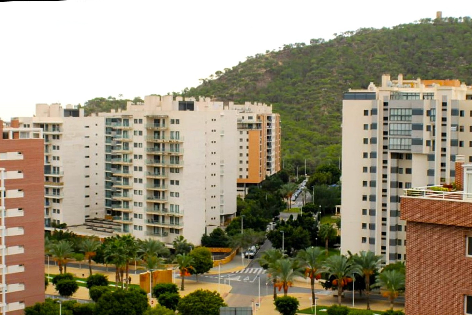 Reventa - Apartment / flat - Villajoyosa - Cala de Villajoyosa