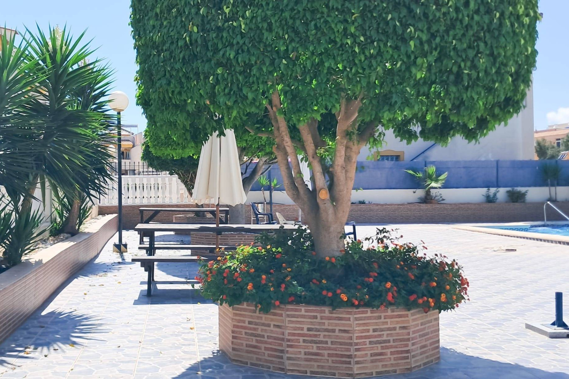 Reventa - Ático Dúplex - Torrevieja - Parque Acuático - Sector 25