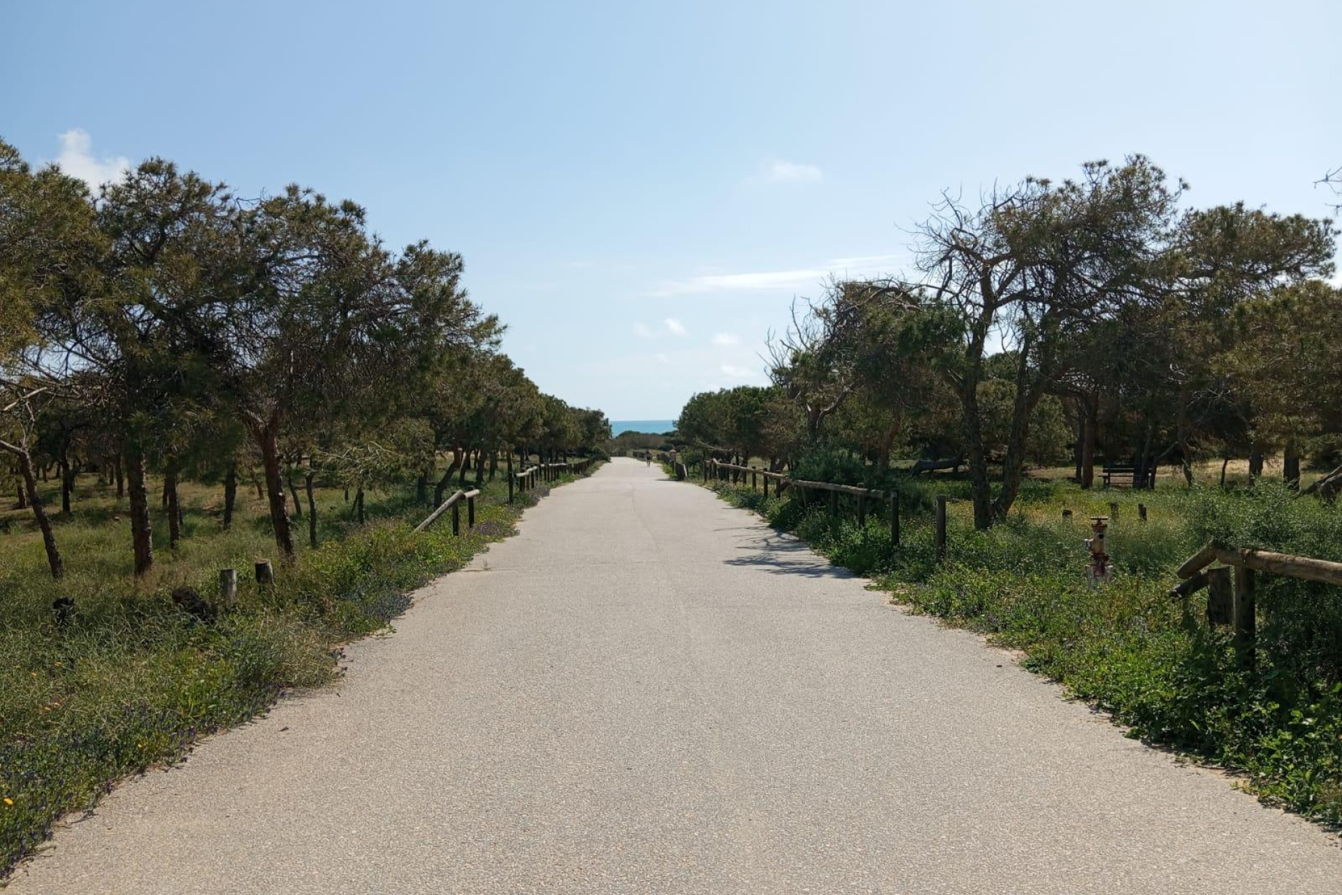 Reventa - Bungalow - Guardamar del Segura - Urbanizaciones