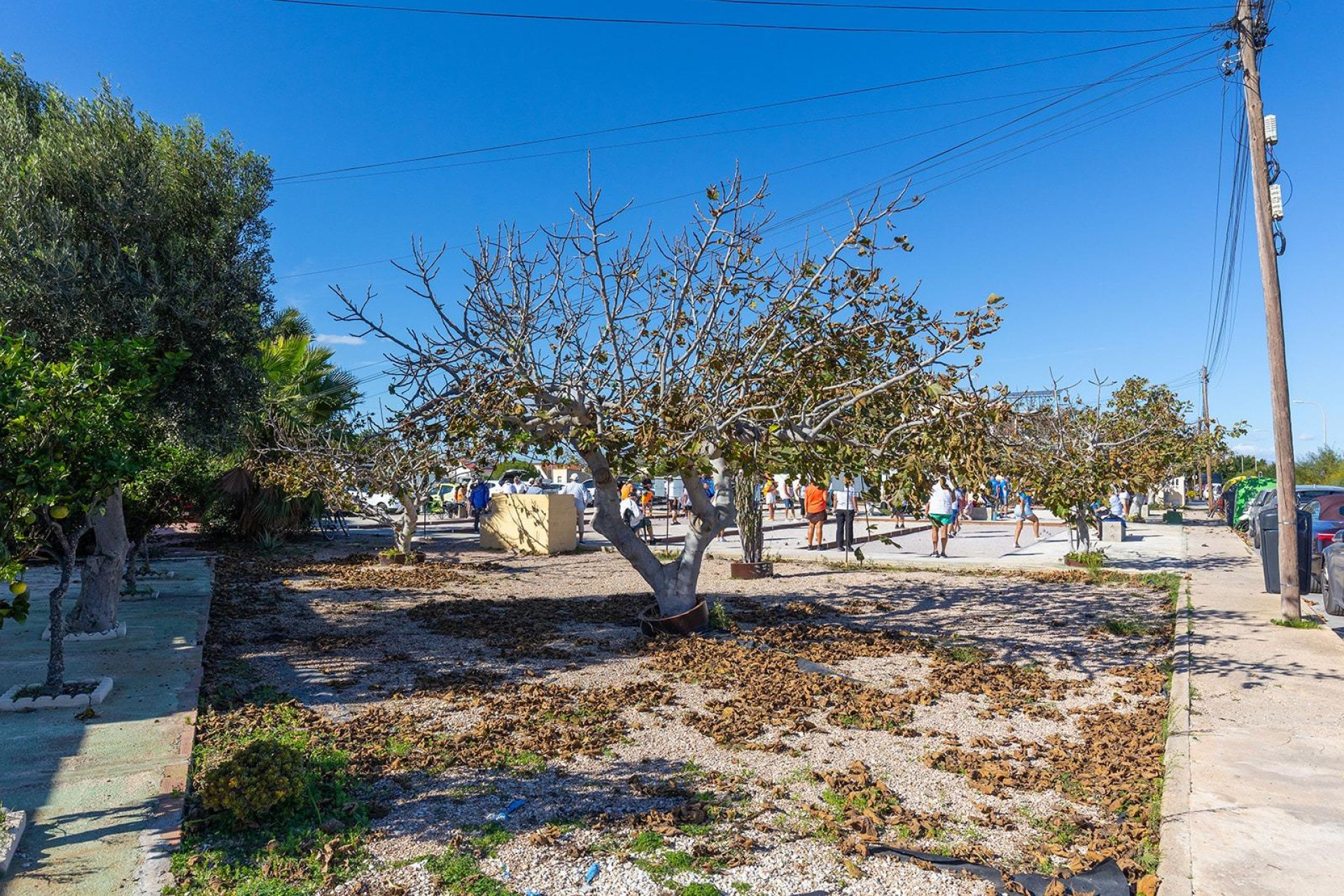 Reventa - Bungalow - Torrevieja - La Siesta - El Salado - Torreta