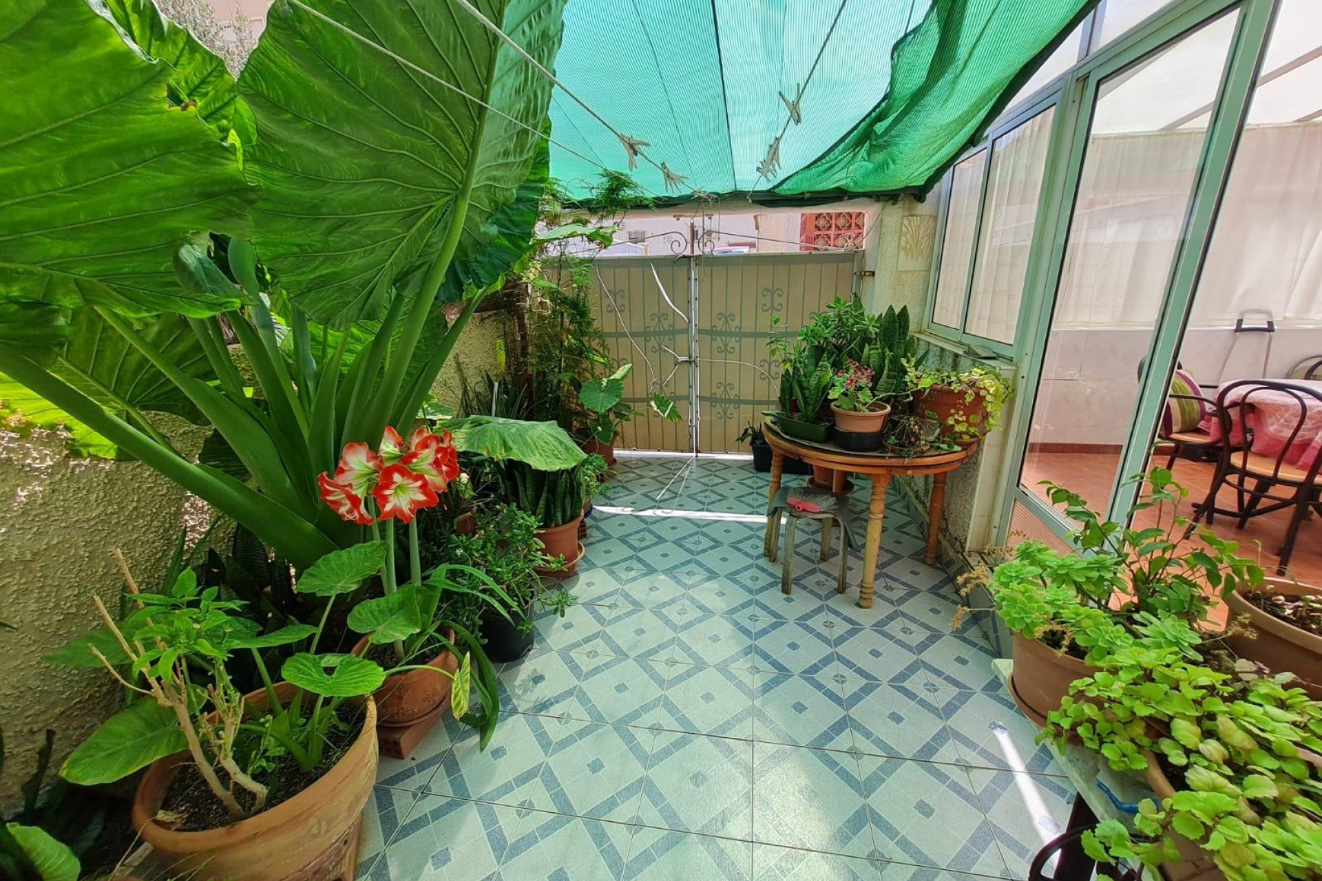 Reventa - Bungalow - Torrevieja - Playa del Cura