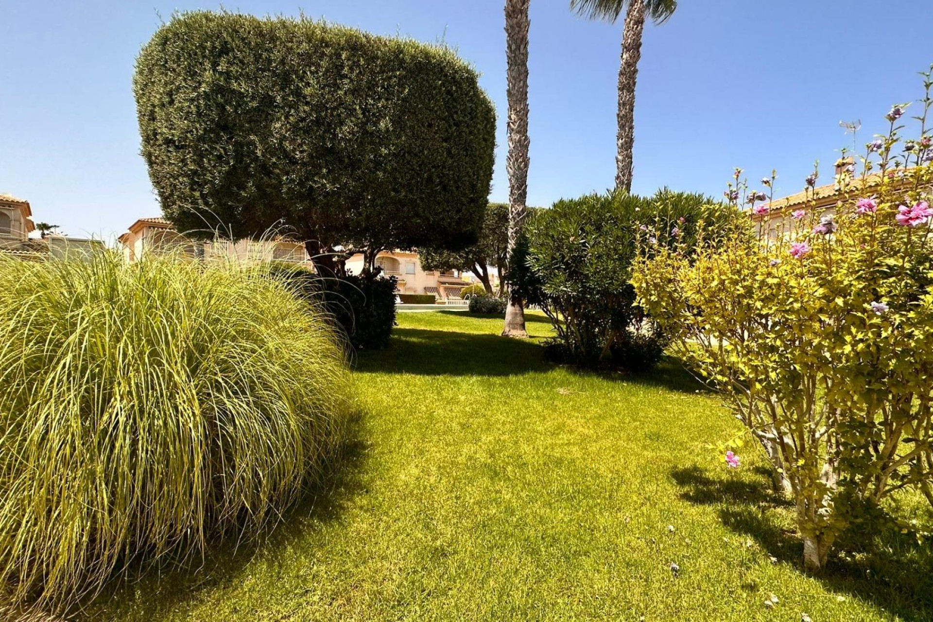 Reventa - Bungalow - Torrevieja - Torreblanca