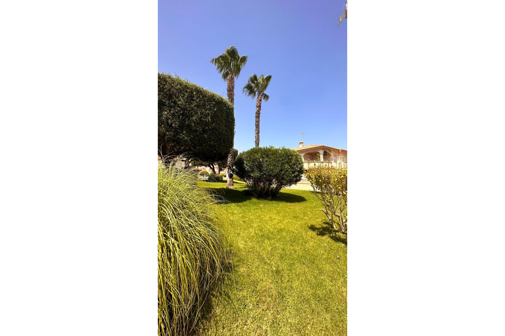 Reventa - Bungalow - Torrevieja - Torreblanca