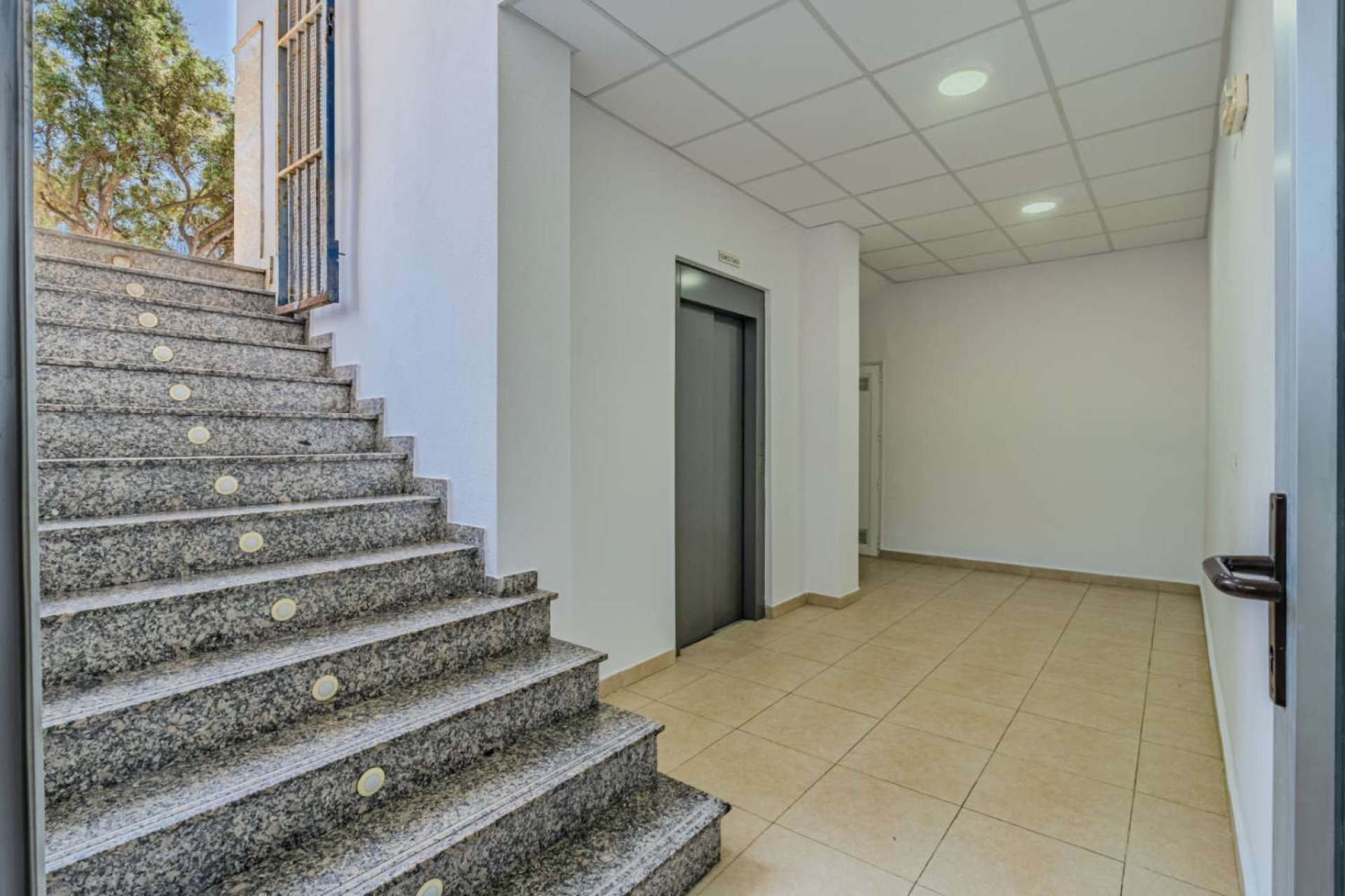 Reventa - Business local - Torrevieja - Nueva Torrevieja - Aguas Nuevas