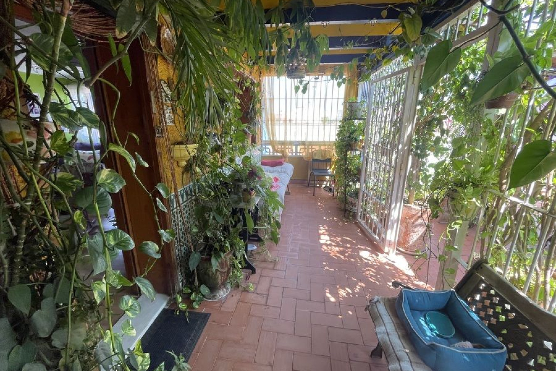 Reventa - Casa de Pueblo - Rojales - Ciudad Quesada