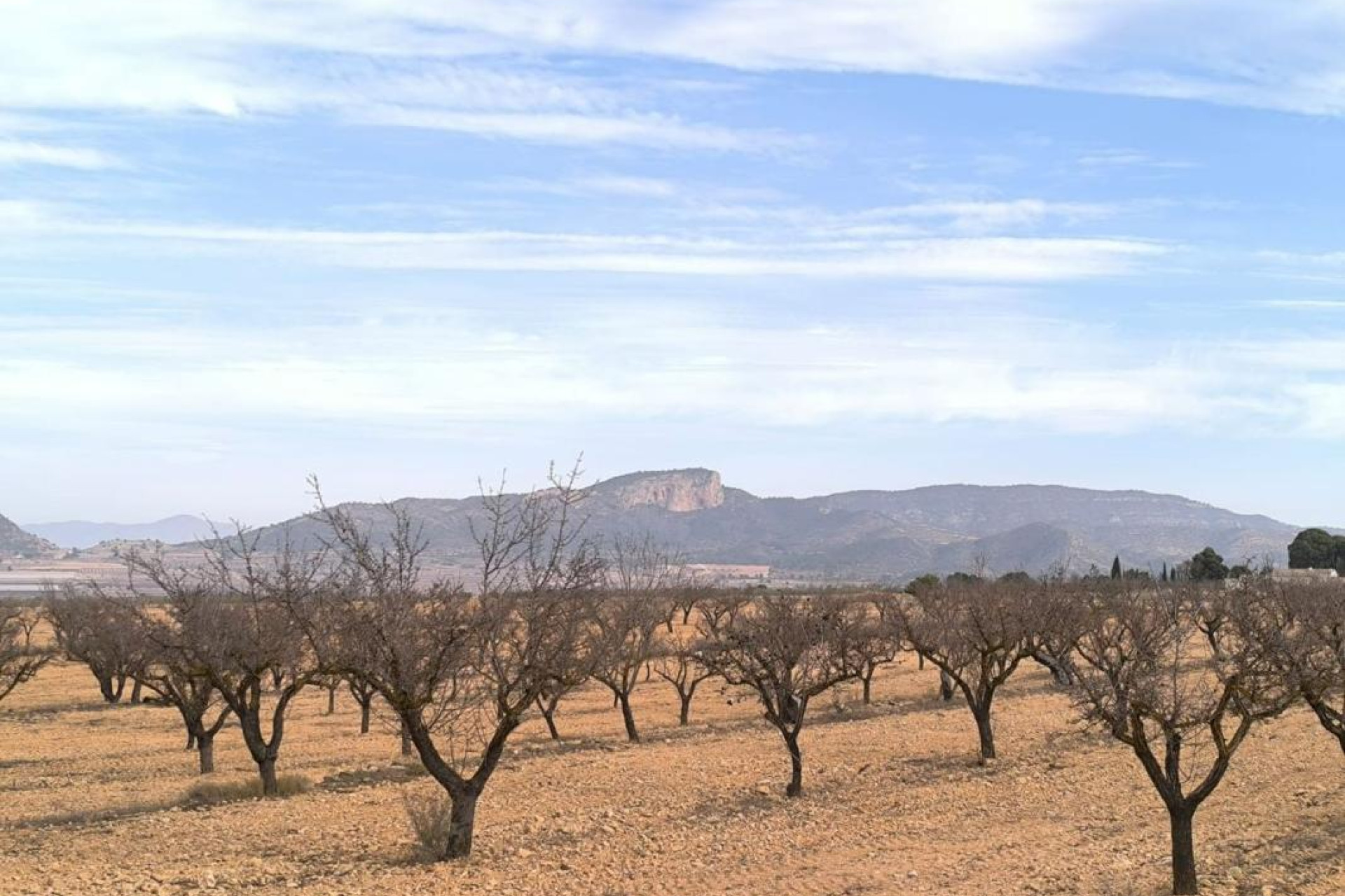 Reventa - casas - Monovar