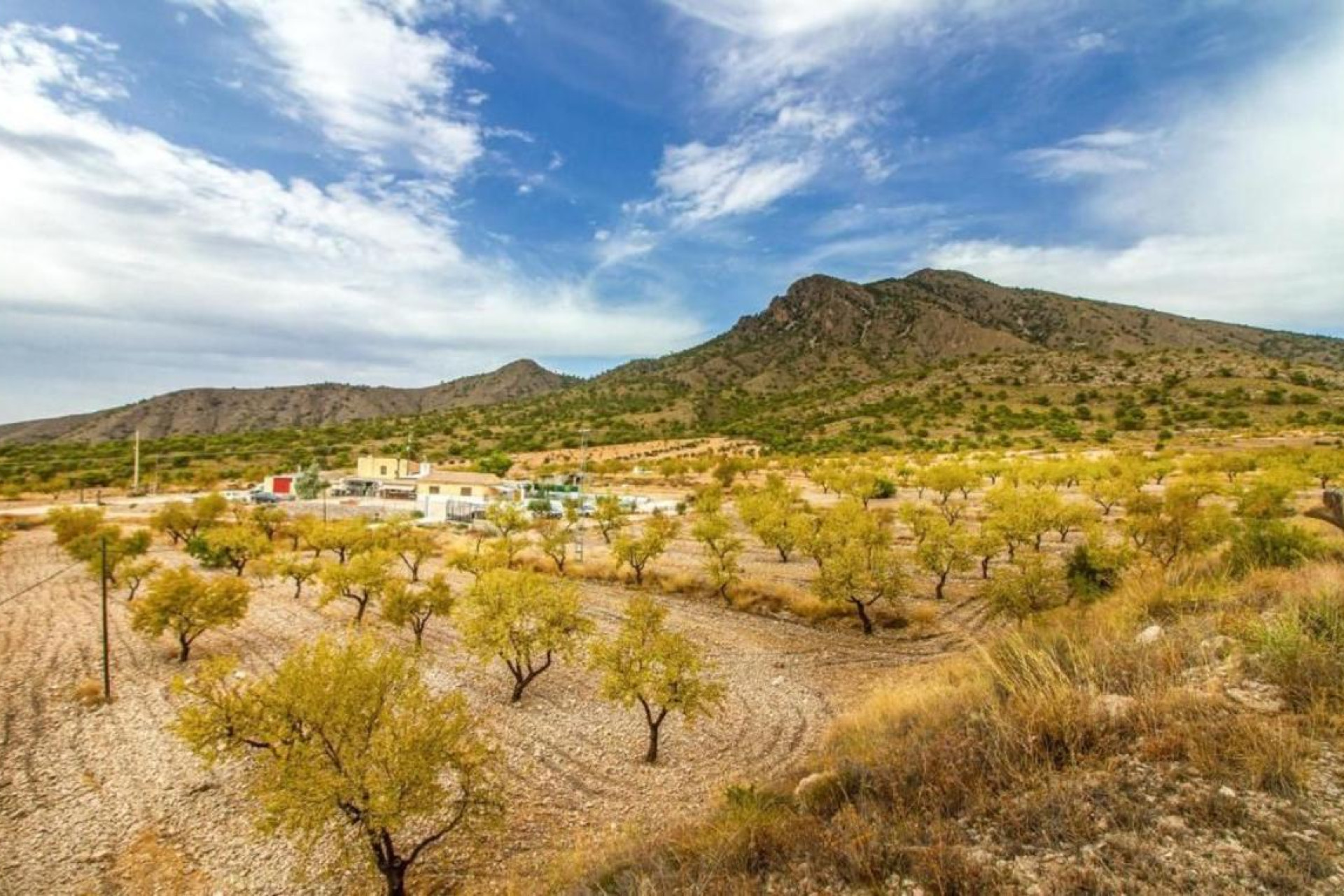 Reventa - casas - Pinoso