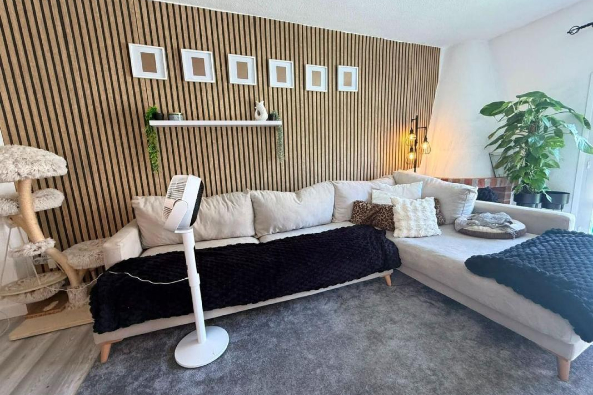 Reventa - casas - Torrevieja - torrevieja