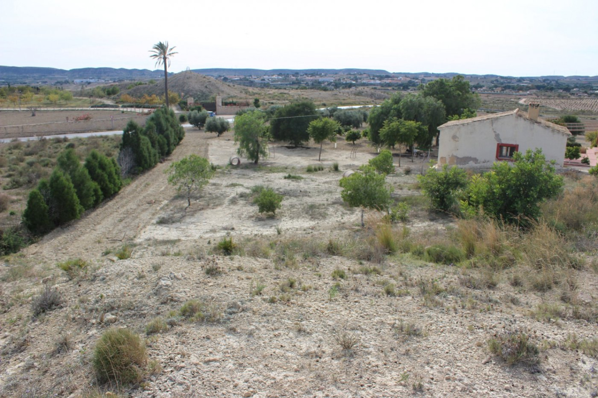 Reventa - Country House - Alicante