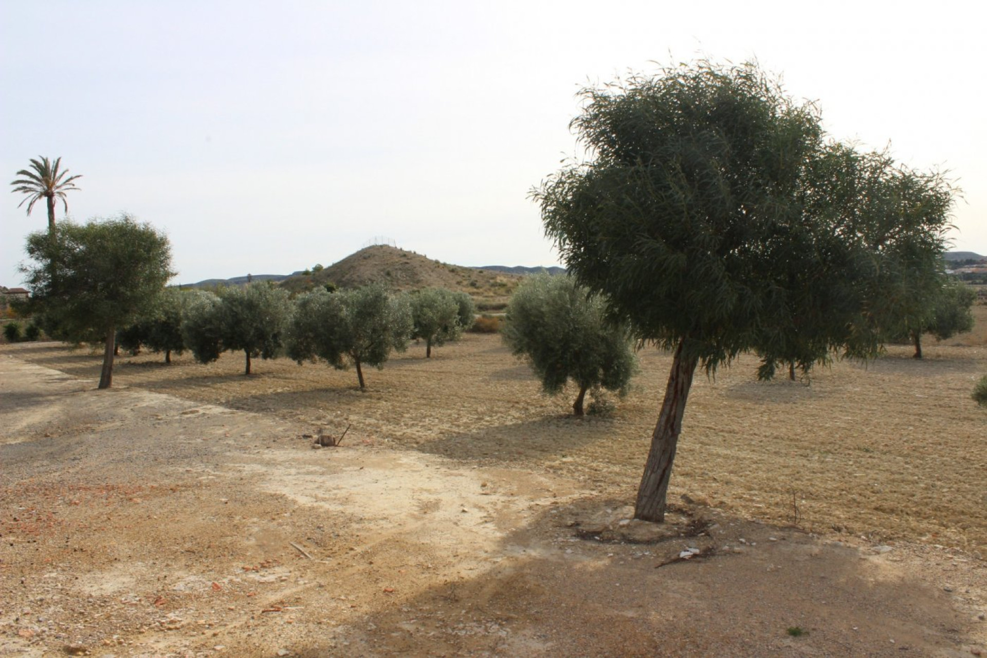 Reventa - Country House - Alicante