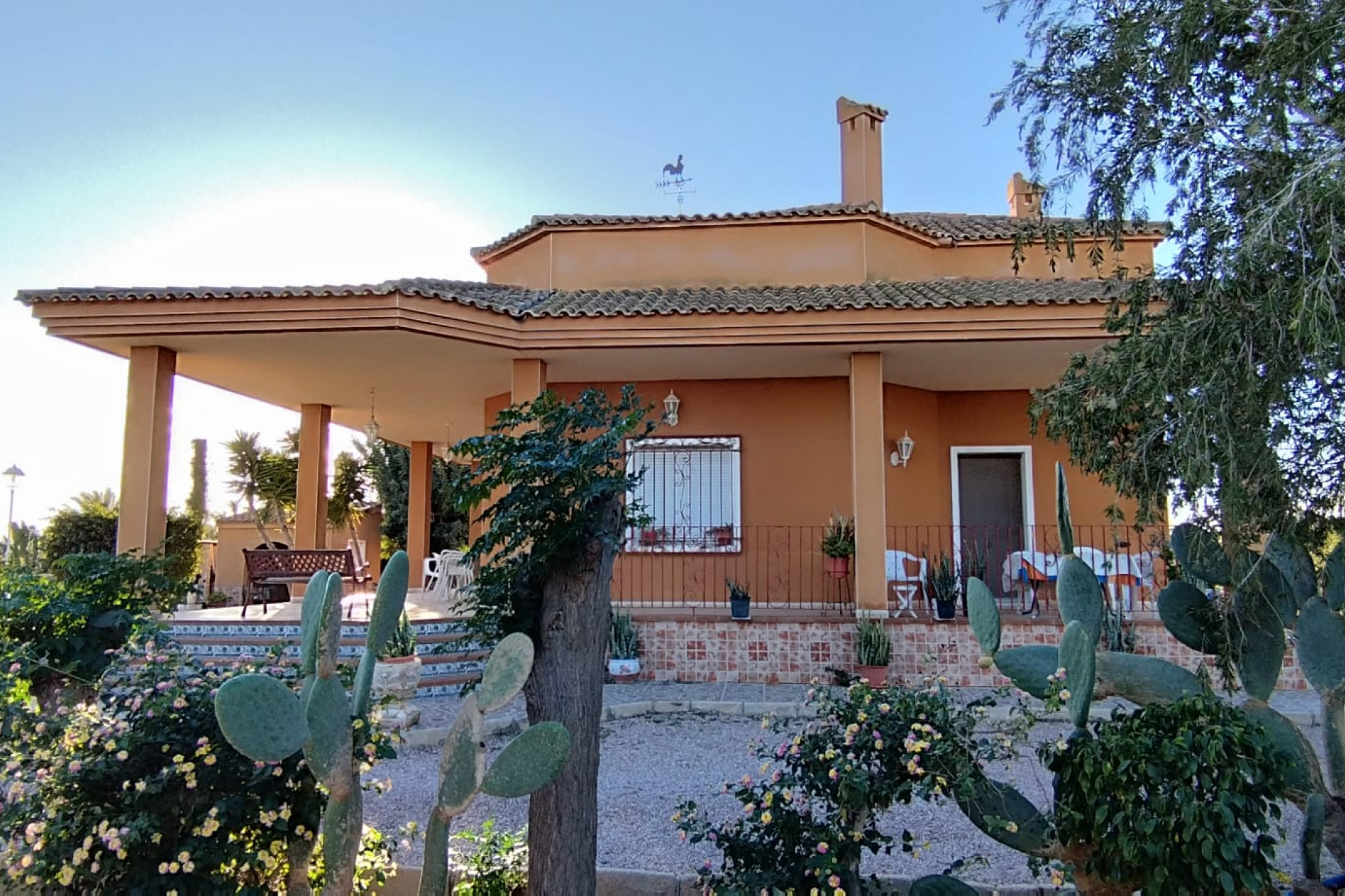 Reventa - Country House - Elche