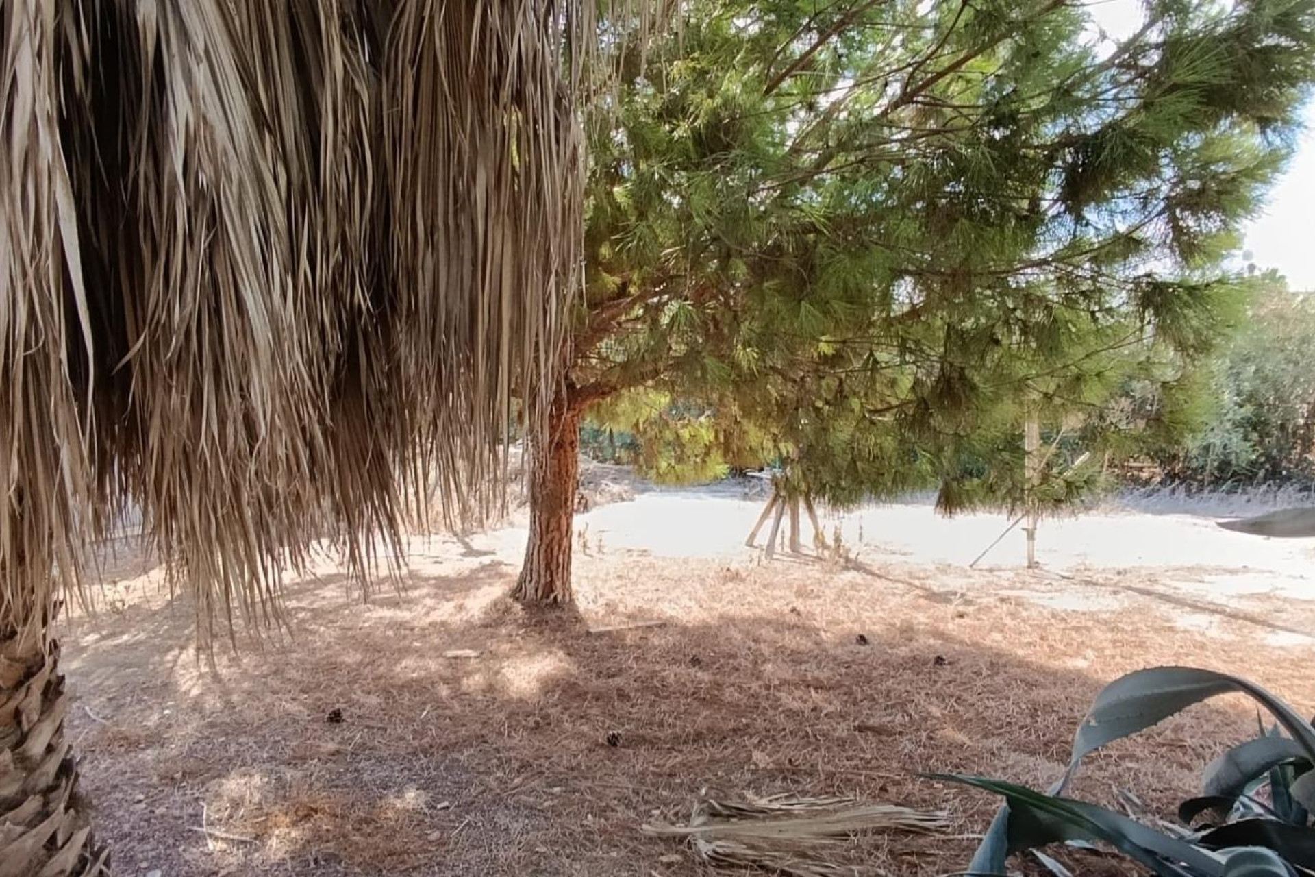 Reventa - Country House - Elche