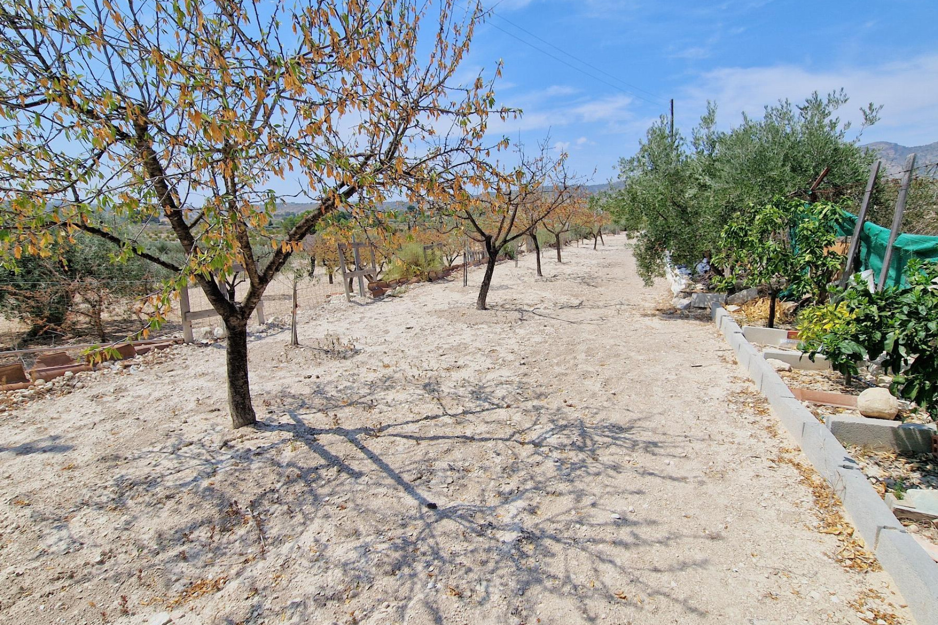 Reventa - Country House - monovar