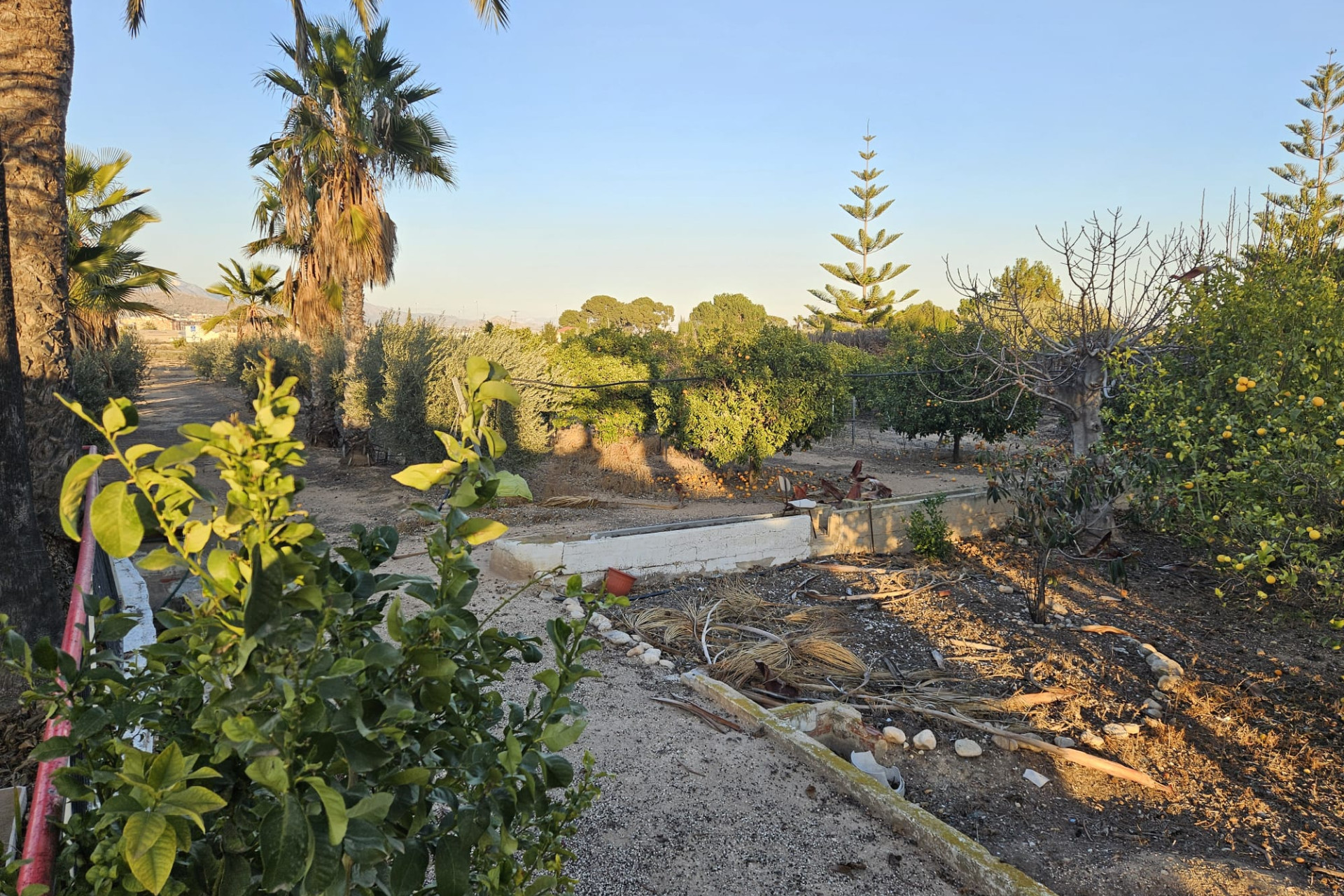 Reventa - Country House - Novelda