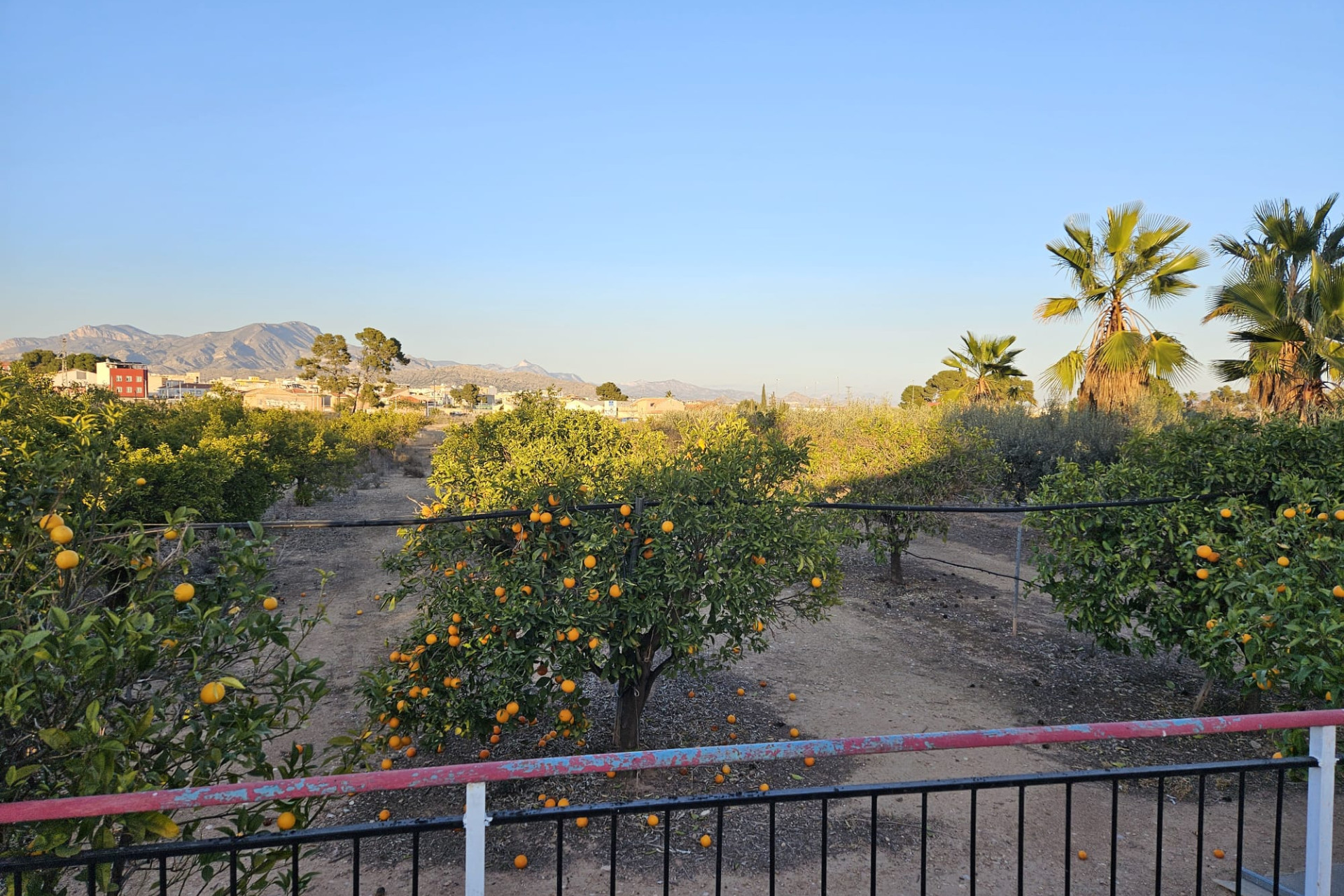 Reventa - Country House - Novelda