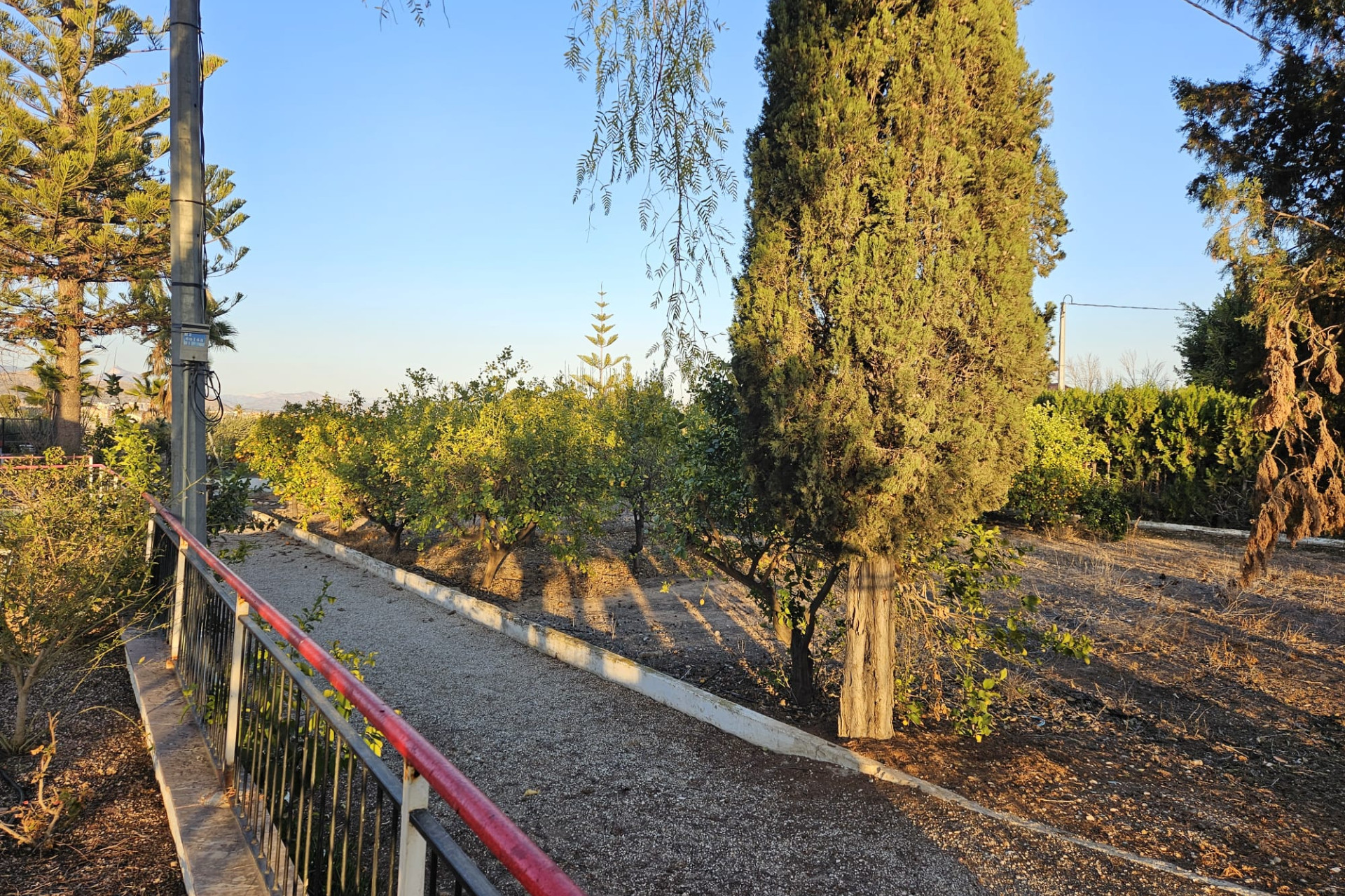 Reventa - Country House - Novelda