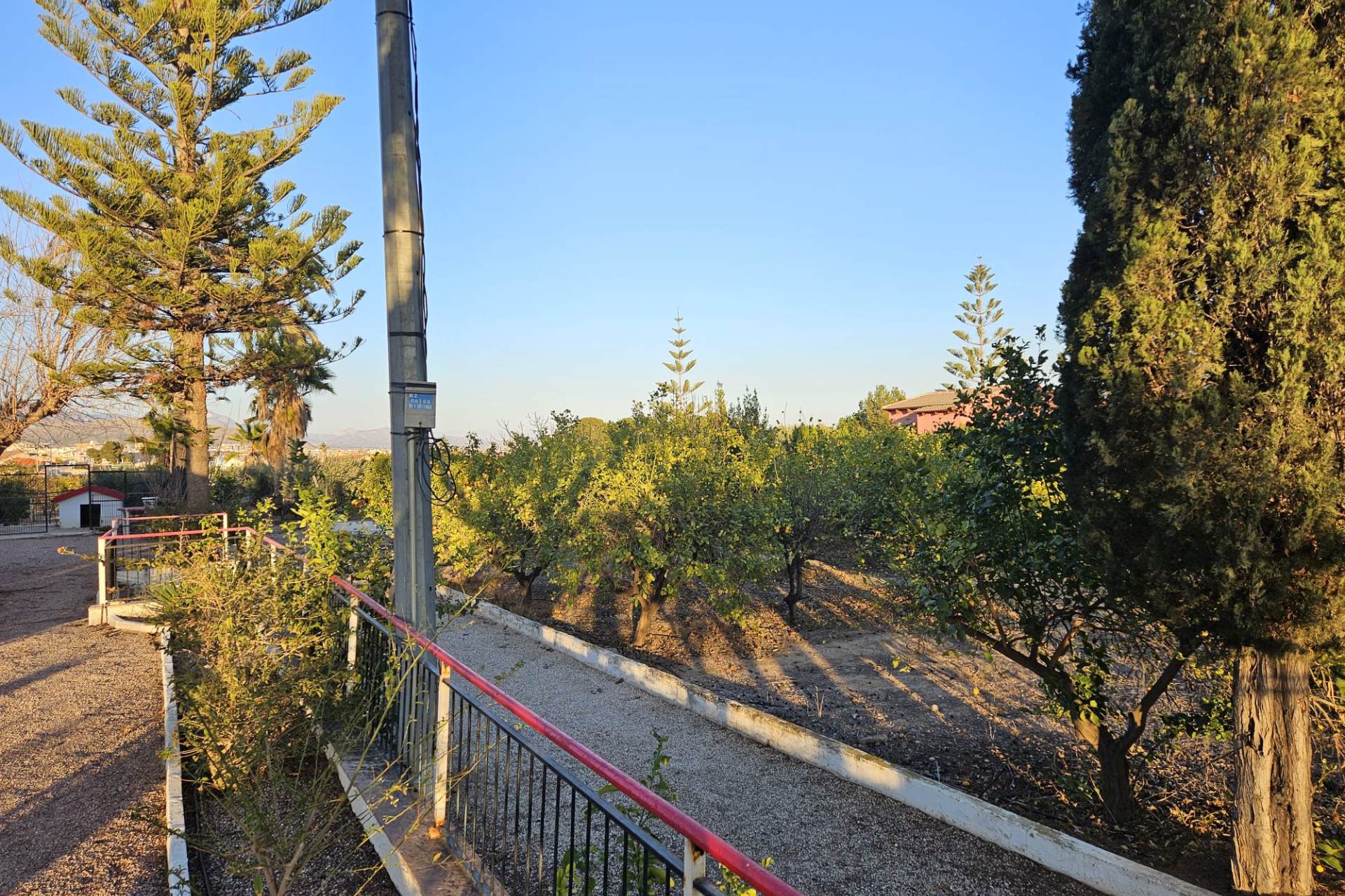 Reventa - Country House - Novelda