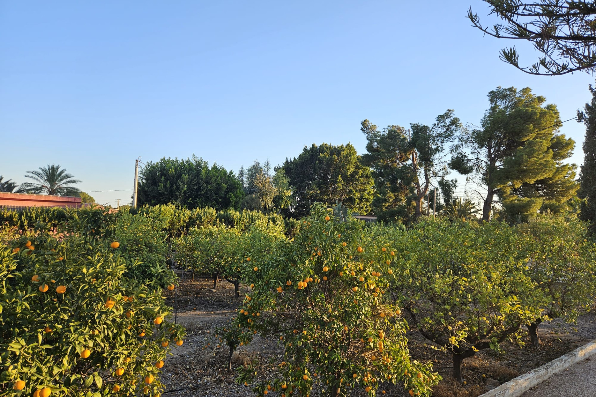 Reventa - Country House - Novelda