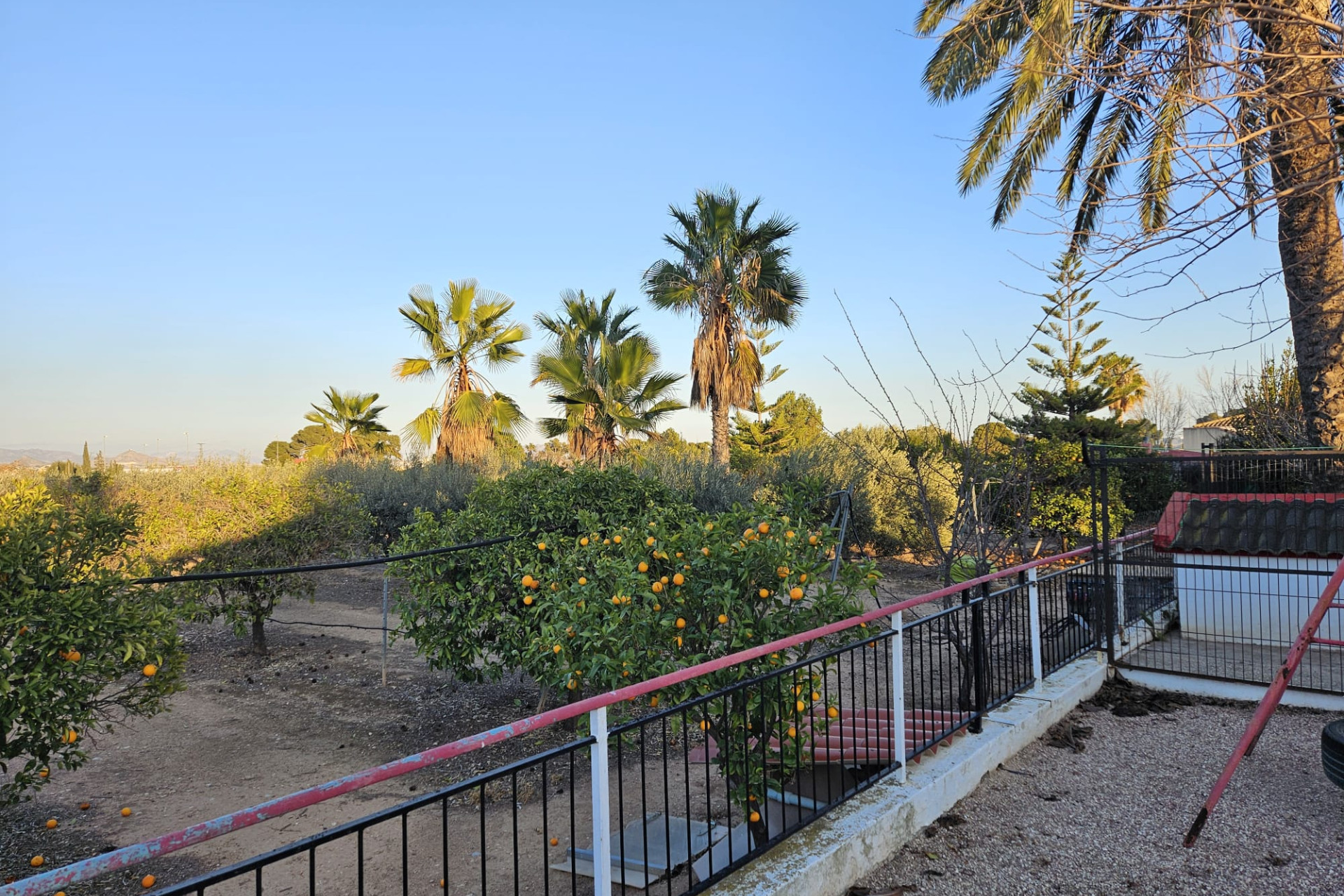 Reventa - Country House - Novelda