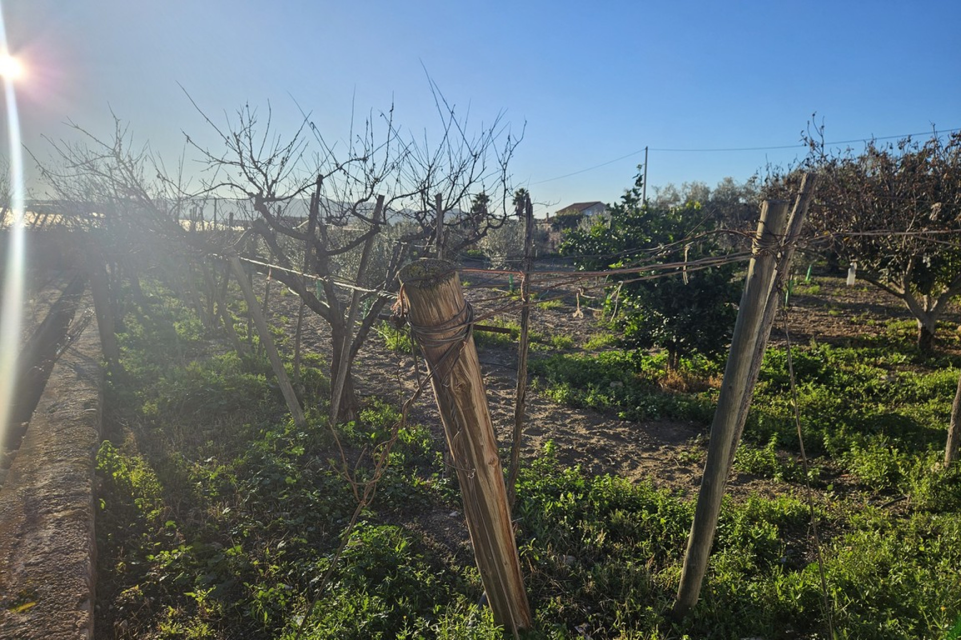 Reventa - Country House - Novelda