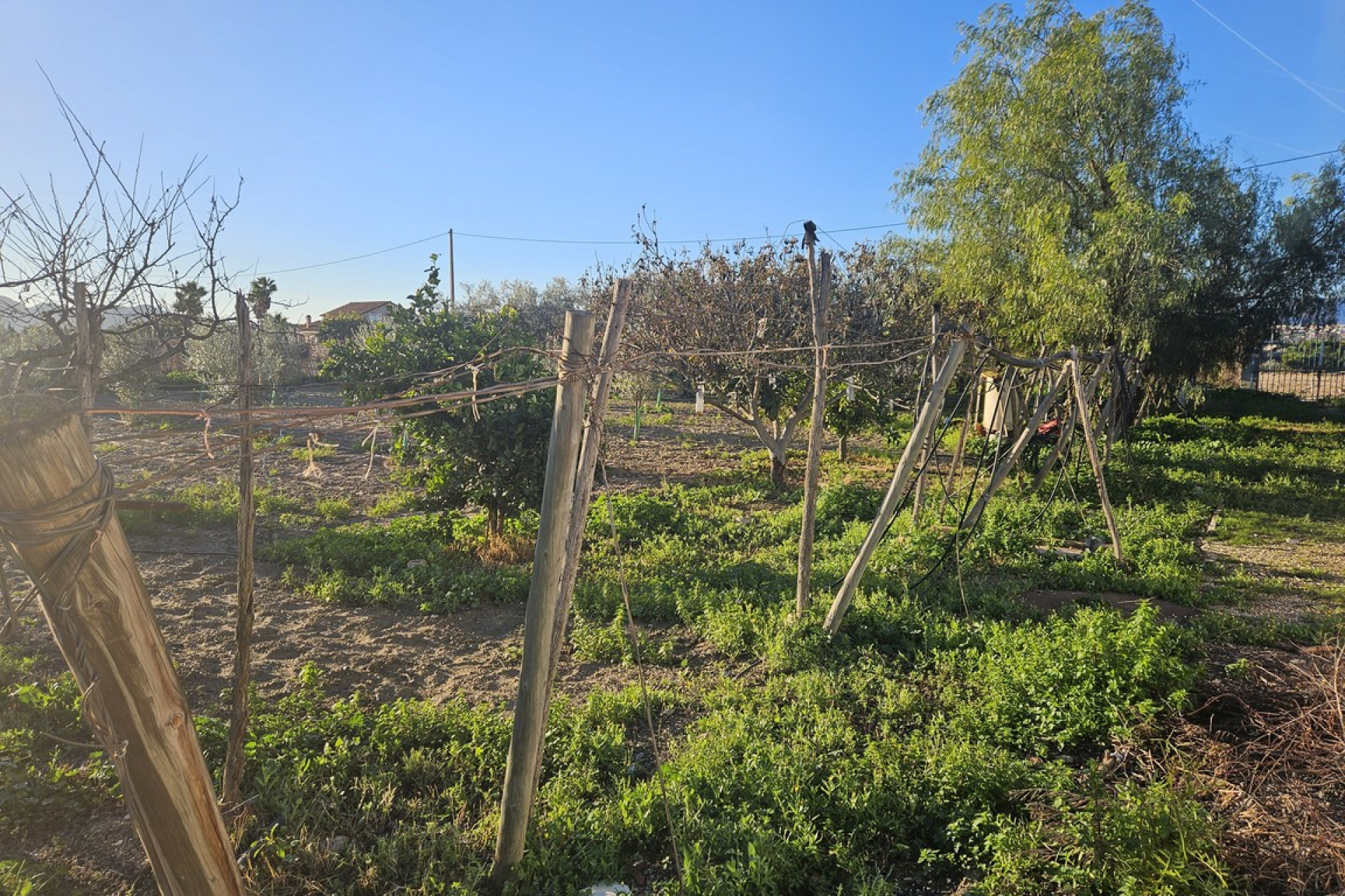 Reventa - Country House - Novelda