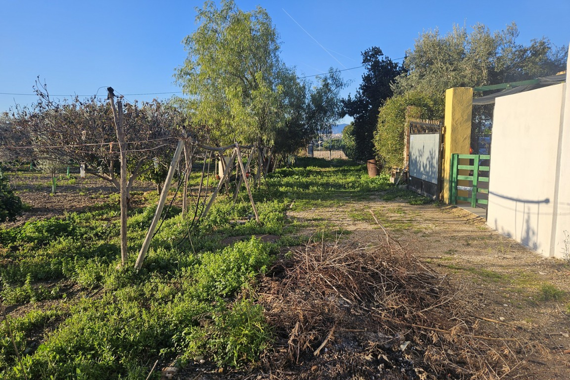 Reventa - Country House - Novelda