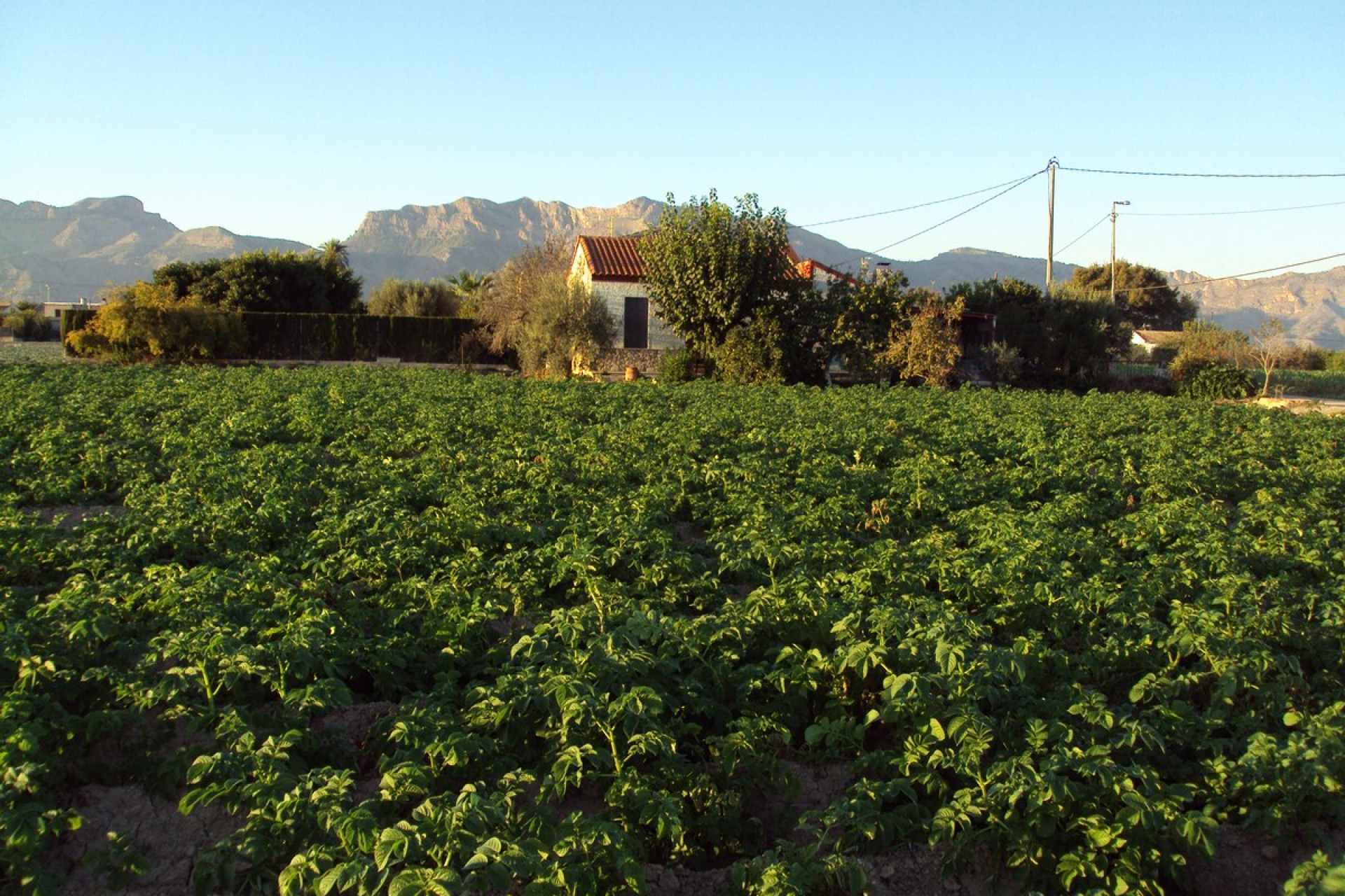 Reventa - Country House - Orihuela Costa - Orihuela