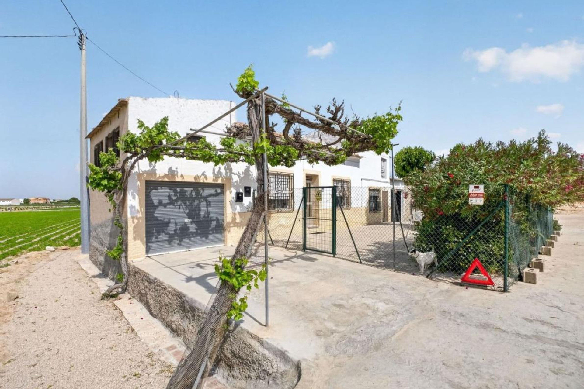 Reventa - Country House - Orihuela