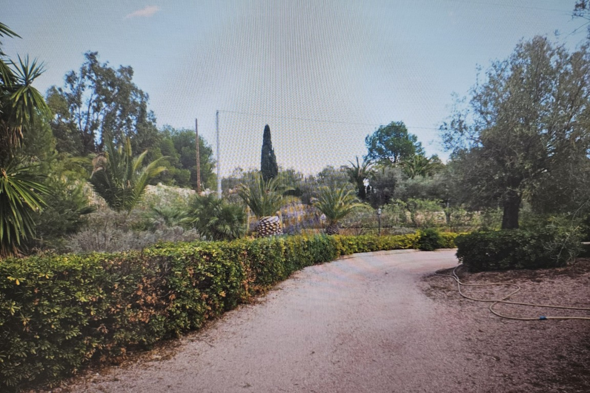 Reventa - Country House - Petrer