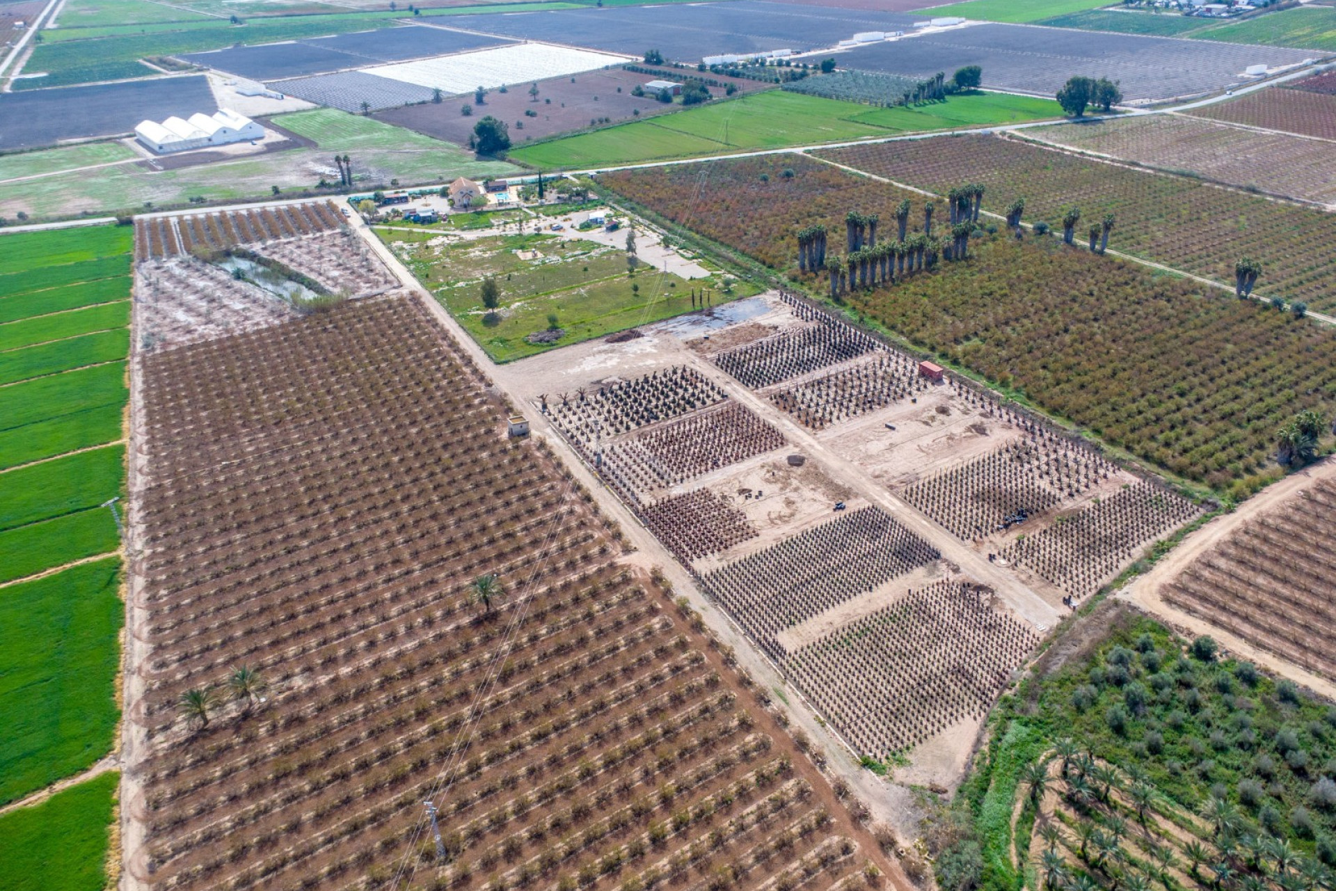 Reventa - Country Property - Albatera - Albatera - Country