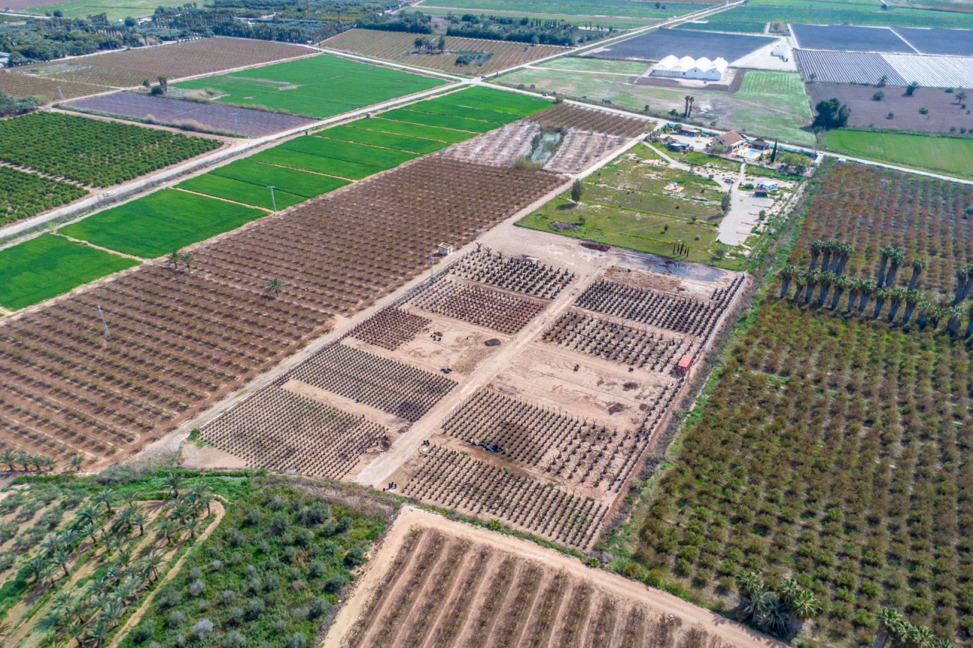 Reventa - Country Property - Albatera - Albatera - Country