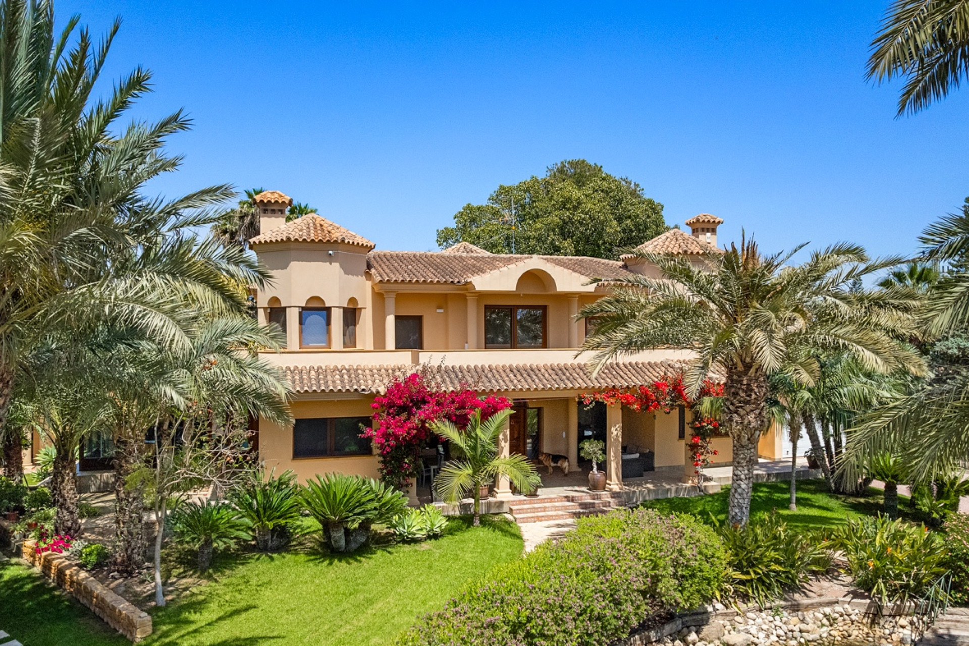 Reventa - Country Property - Elche - Elche - Country