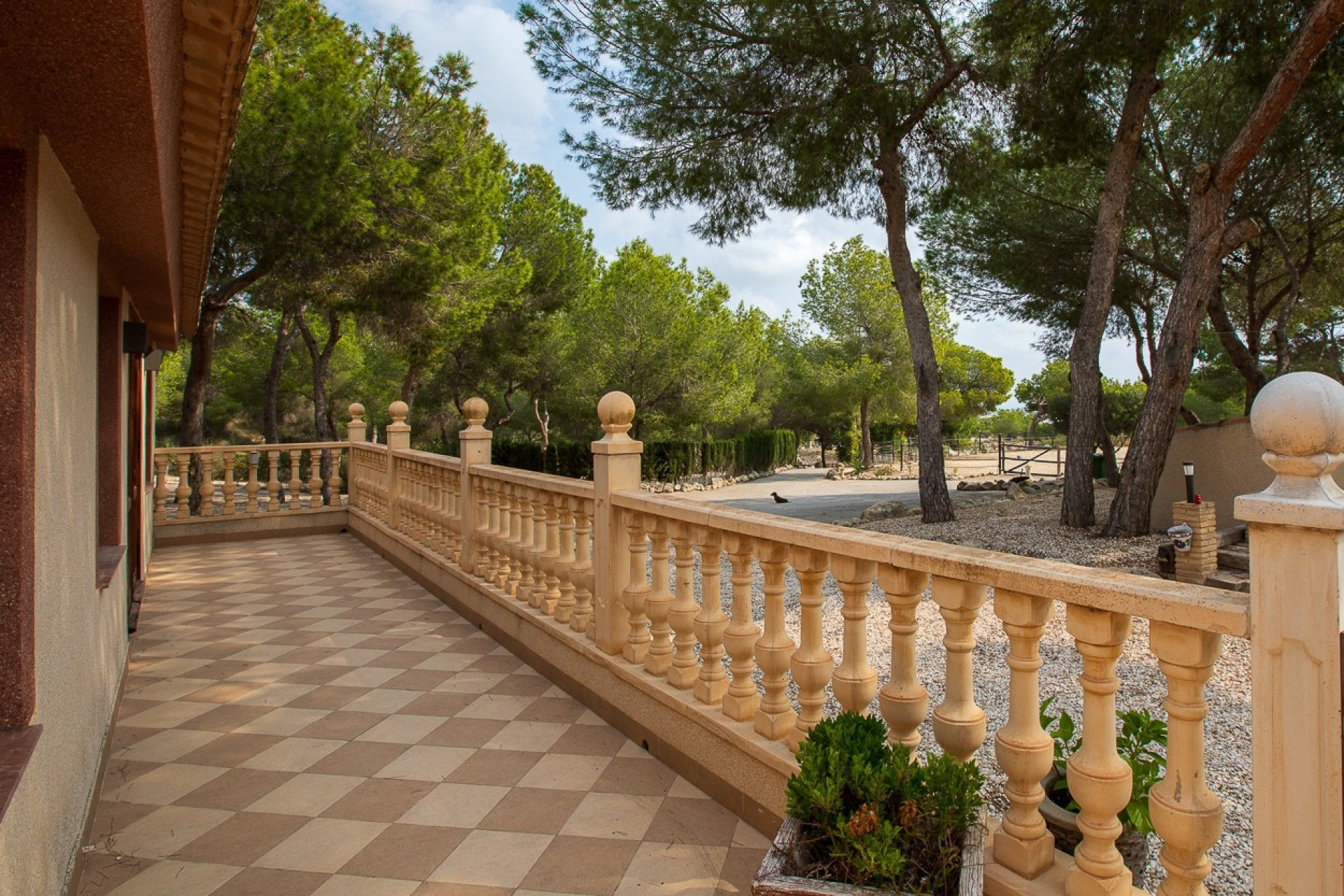 Reventa - Country Property/Finca - Torremendo