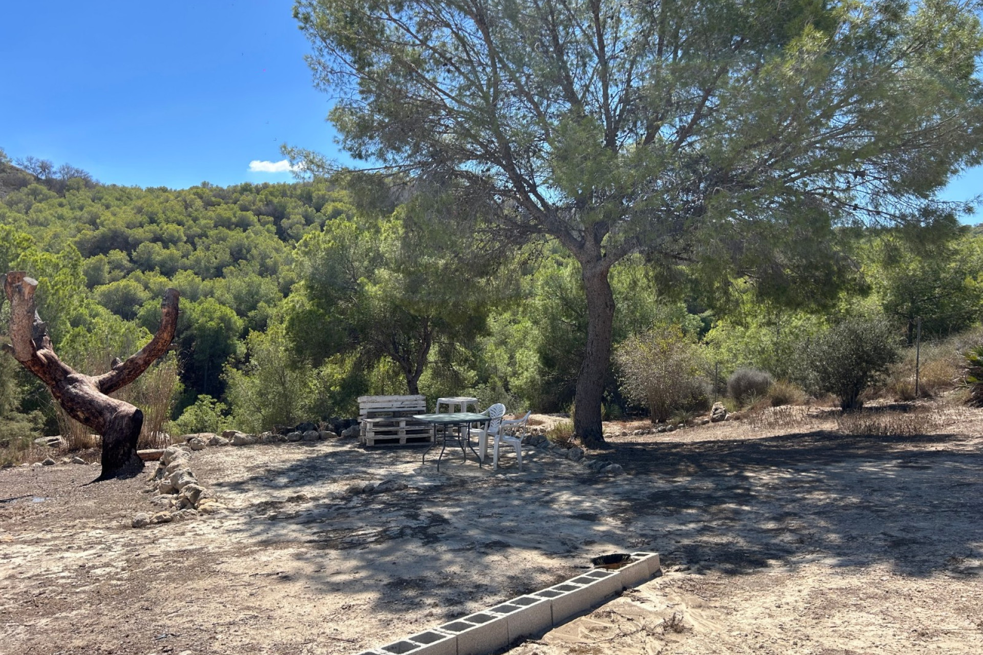 Reventa - Country Property/Finca - Torremendo