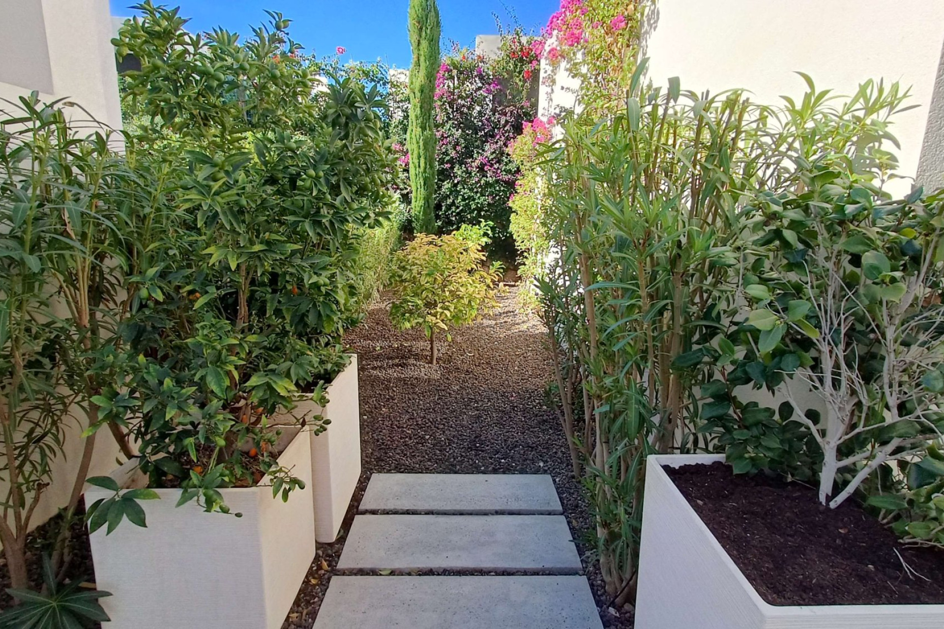 Reventa - Detached Villa - Algorfa - La Finca Golf Resort
